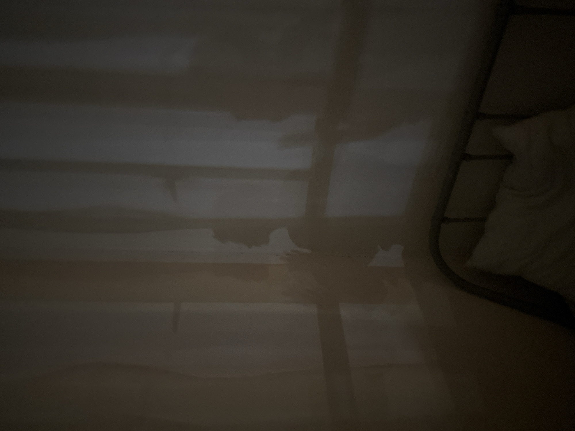 The image depicts a dimly lit interior, possibly a bedroom, with shadows cast on a wall. The shadows suggest the presence of at least two people, one of whom appears to be in profile facing right, with their hand raised. The other shadow, to the left, is less defined, showing a standing figure. A bed with a white pillow is visible in the foreground. The environment appears to be a room with sheer curtains, indicated by the vertical light patterns on the wall. There is no specific information within the image to indicate the location in the city of Sinyavino, Russia.