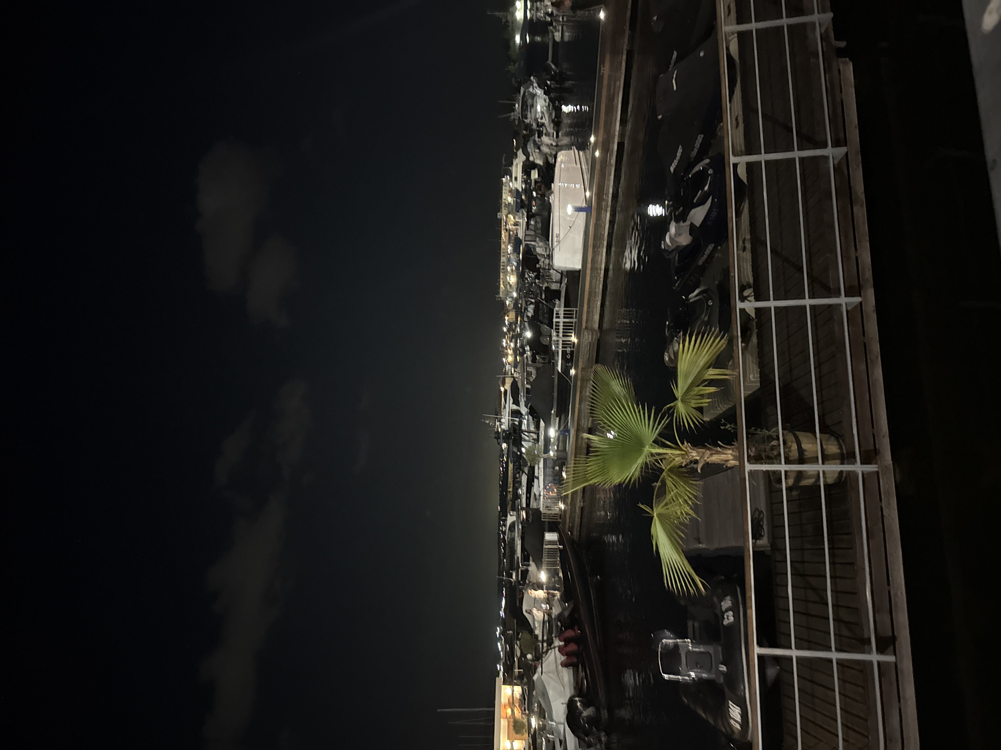 The image depicts a nighttime scene at a marina, likely in Sozopol, Bulgaria, with a dark sky and scattered clouds. The marina is filled with numerous boats of varying sizes, many of which are covered or docked. A prominent feature in the foreground is a wooden boardwalk with a white railing, overlooking the water. To the left of the boardwalk, several black jet skis are partially visible, parked on the dock. In the center, a small palm tree in a wooden planter adds a touch of tropical ambiance. Further into the marina, other boats are visible, some with lights illuminated, reflecting on the water. In the background, a cityscape with buildings and lights can be seen, suggesting the presence of a town or city beyond the marina. A few individuals are visible on one of the docks, engaged in what appears to be casual activity. The overall impression is of a tranquil evening at a bustling maritime location.