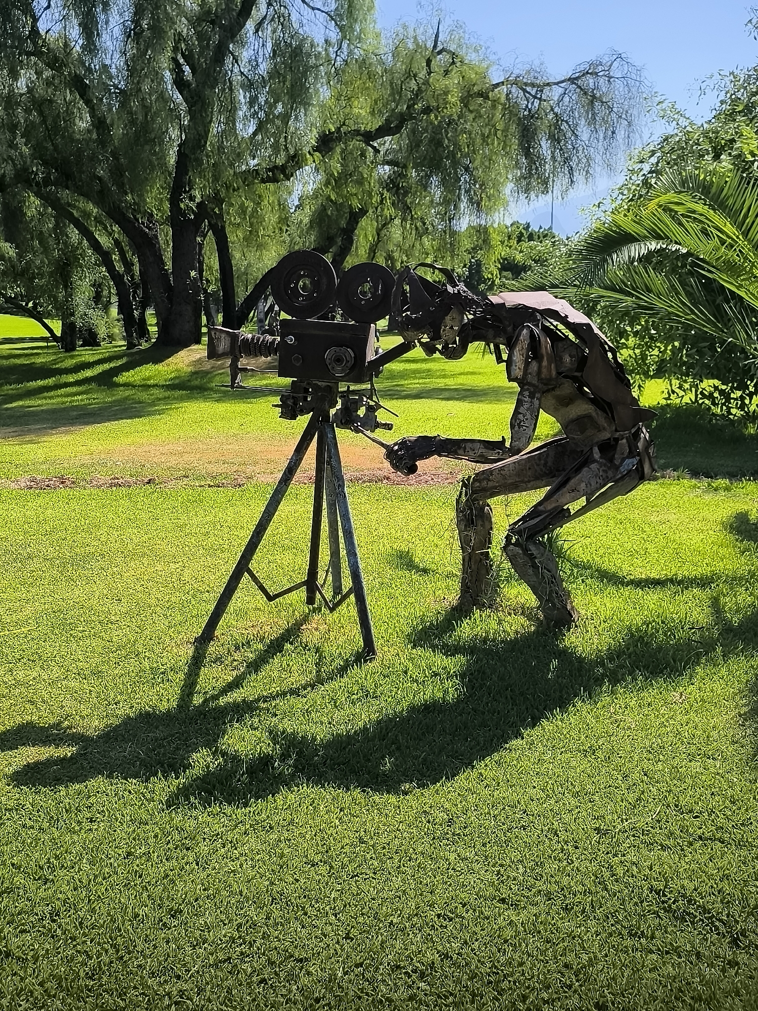 The image depicts an outdoor scene with lush green grass under a bright blue sky. In the foreground, a vintage film camera is mounted on a tripod. To the right of the camera, a sculpture made of scrap metal, resembling a seated figure operating the camera, is positioned. The sculpture appears to be a person in a crouched position, with its arm extended towards the camera. The background features a line of large trees, casting long shadows across the lawn, and dense green foliage. The setting appears to be a park or garden area, potentially a public space in Antalya, Turkey, given the climate suggested by the foliage and bright sunlight. No individuals are present other than the metal sculpture. The overall impression is one of artistic display in a natural environment.