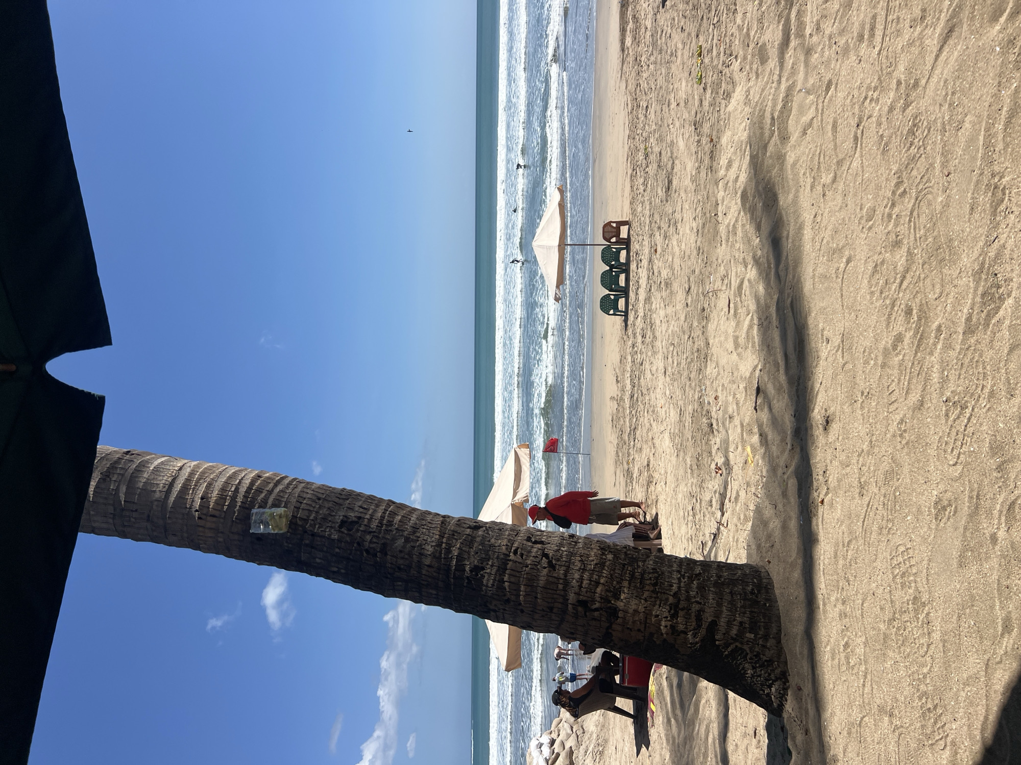 A beach scene in Kuta, Indonesia, features a large palm tree trunk in the foreground, casting a shadow on the sand. Beyond the tree, a sandy beach meets the ocean under a clear blue sky with scattered clouds. Several beach umbrellas and chairs are visible on the sand. In the middle ground, a few people are present, including one wearing a red shirt and cap, standing near a red flag. In the water, several surfers are riding waves, indicating active surf conditions. The overall environment suggests a typical sunny day at a popular beach resort.