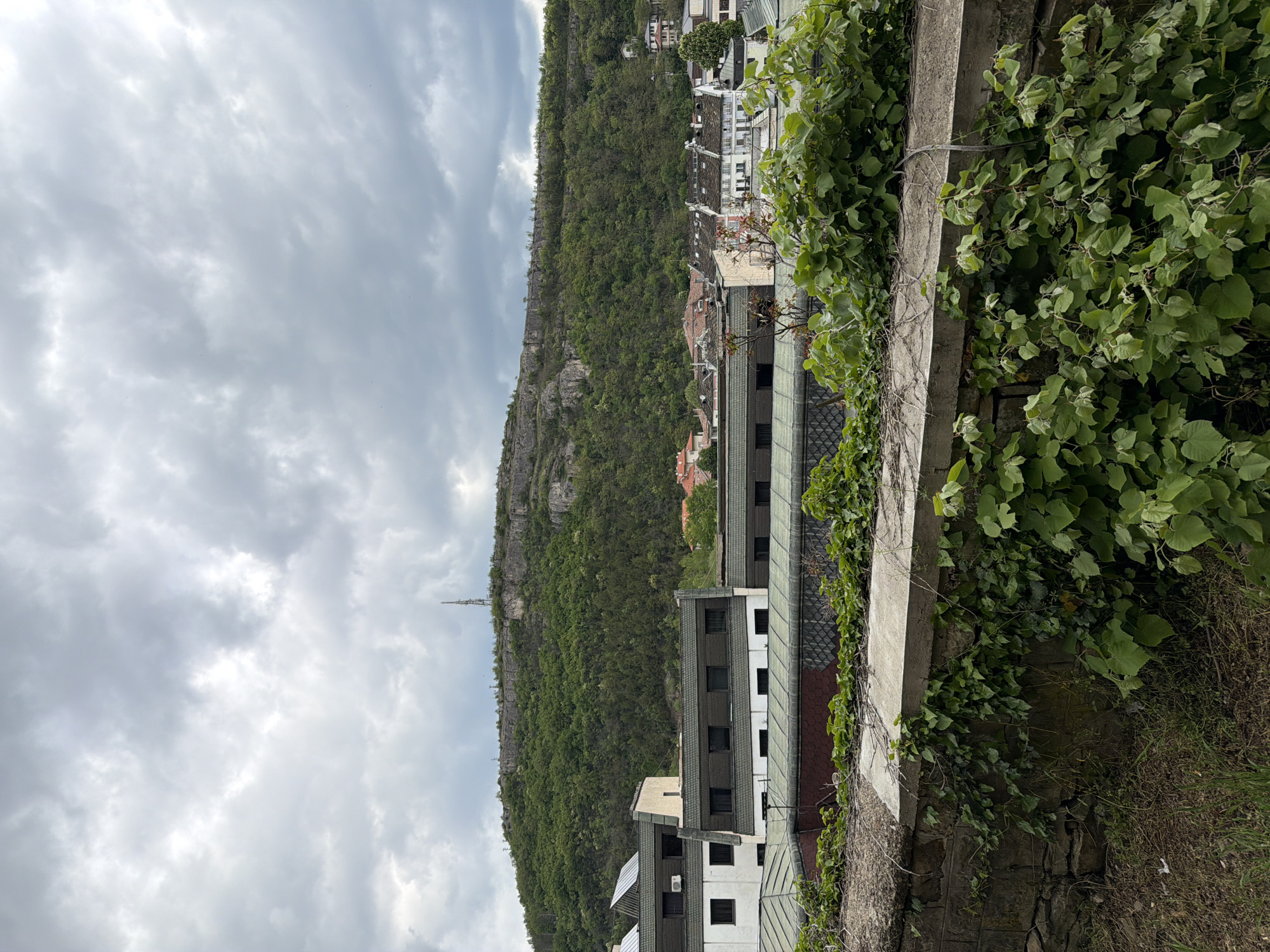 The image presents a view of Lovech, Bulgaria, featuring a landscape dominated by a large, tree-covered hill or cliff. The foreground contains a concrete barrier or wall, heavily overgrown with ivy and other vegetation. Several multi-story buildings are positioned between the foreground and the hill, exhibiting a mix of architectural styles, including modern and possibly older structures with tiled roofs. A communications tower is visible atop the hill. The sky is overcast with grey clouds.