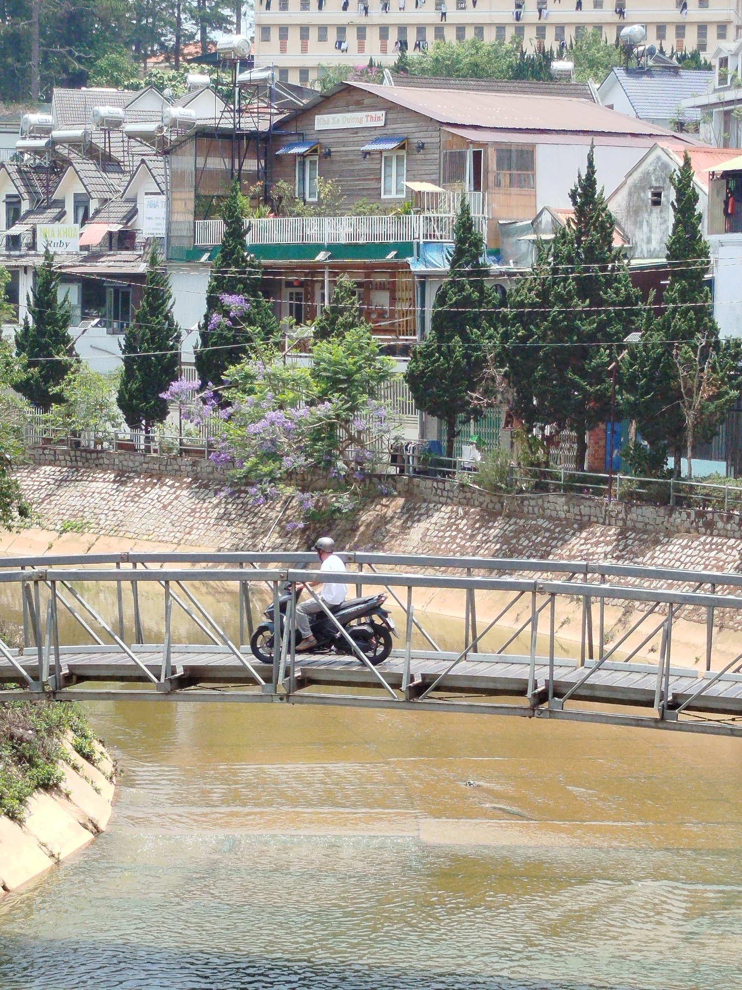 Captured in Cam Ly, Đà Lạt, Vietnam, a man on a black motor scooter crosses a narrow wooden bridge spanning a canal filled with murky brown water. The bridge is constructed of light-colored metal beams and wooden planks. Behind the canal, a low stone wall supports a series of buildings nestled into the hillside, interspersed with tall evergreen trees and flowering vegetation. A larger, multi-story building is visible on the hill behind the smaller buildings. The weather appears sunny and bright.