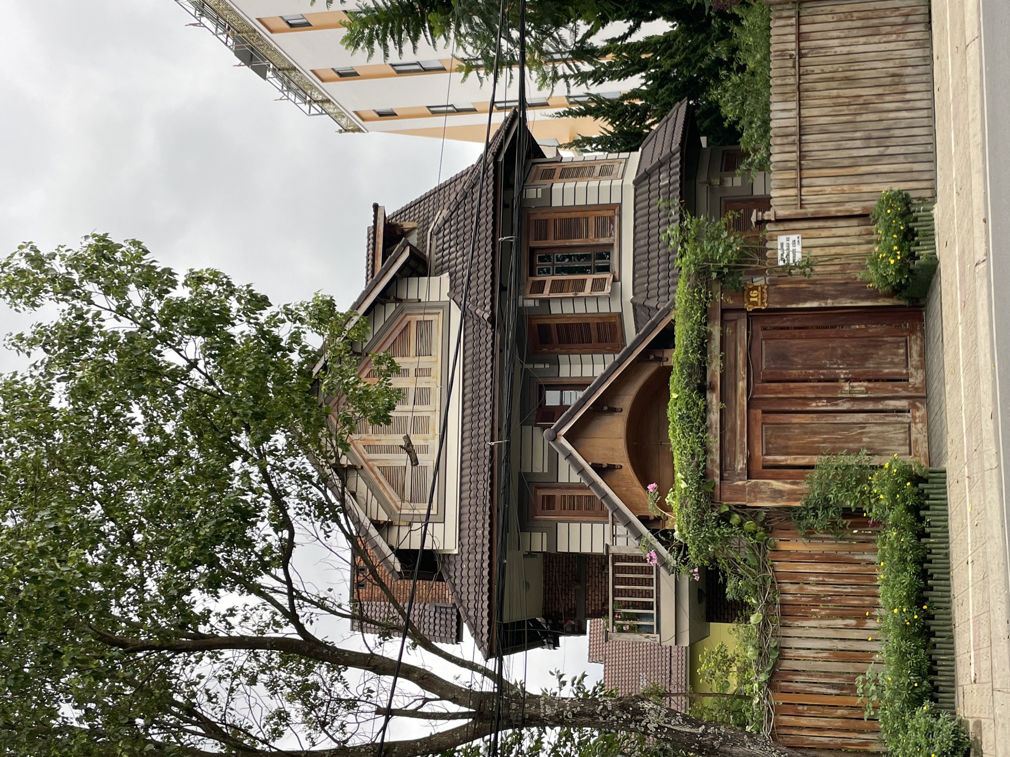 The image shows a two-story house with a brown tiled roof and light-colored horizontal siding. The house has several windows with wooden shutters, some of which are open. A balcony with a railing is visible on the left side of the house. A wooden fence with a gate encloses the property, and the fence is adorned with climbing plants and small yellow flowers. A large tree with green leaves is in the foreground on the left, and evergreen trees are on the right. In the background, a modern, light-colored building with orange accents stands tall. The sky is overcast. The location is identified as Phường Xuân Hương - Đà Lạt, Vietnam, based on contextual information.