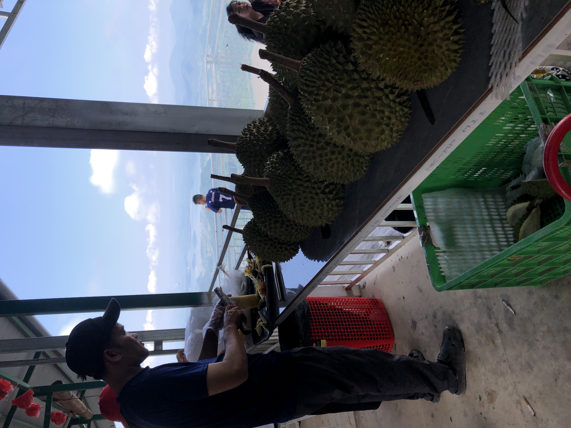In Nam Hải, Vietnam, on an elevated platform overlooking a valley with a body of water and distant mountains, a man wearing a dark blue t-shirt and a black baseball cap is in the process of peeling a durian. He is standing at a dark countertop, with his hands, covered in clear plastic gloves, holding a durian and a tool that appears to be a peeler or knife. Several durians are arranged on the countertop in front of him, and a red plastic basket filled with durian rinds is positioned below. To the right, a green plastic crate contains more durians. In the background, a child wearing a blue t-shirt with the number '7' on it stands looking out at the view. Further to the right, a woman with dark hair is also observing the scenery. The platform has a metal railing and a concrete floor where two cigarette butts are visible. The sky is blue with scattered clouds.