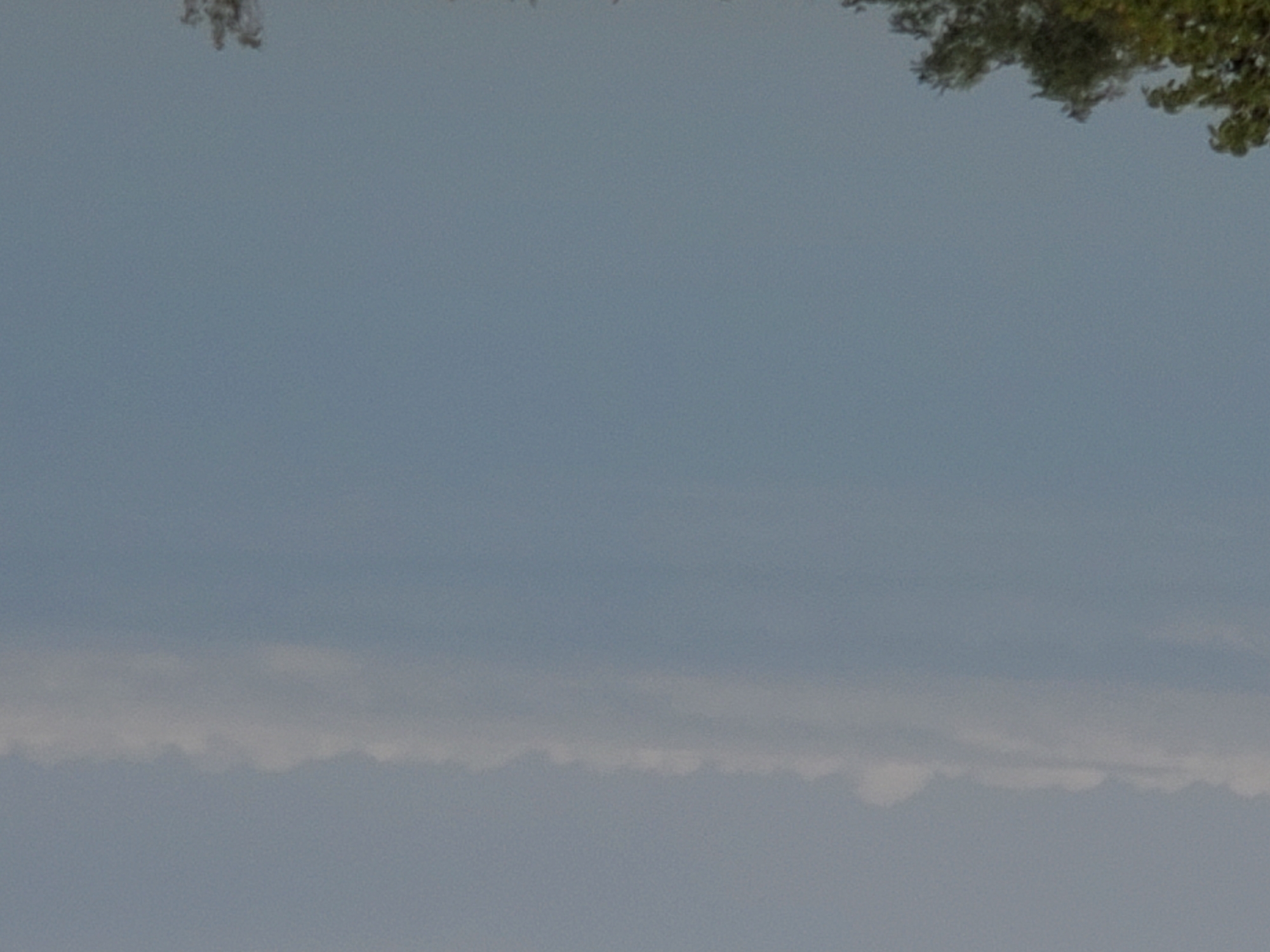 The image shows a sky with a band of clouds stretching horizontally across the upper portion. Below the clouds, the sky is a uniform, pale blue. The bottom edge of the image features the tops of trees, which are dark green and appear to be swaying slightly. There are no people or discernible man-made objects in the image. The overall scene suggests an outdoor environment with a partly cloudy sky. The location in Konstantinovka, Moldova, is not visually identifiable within the provided image.