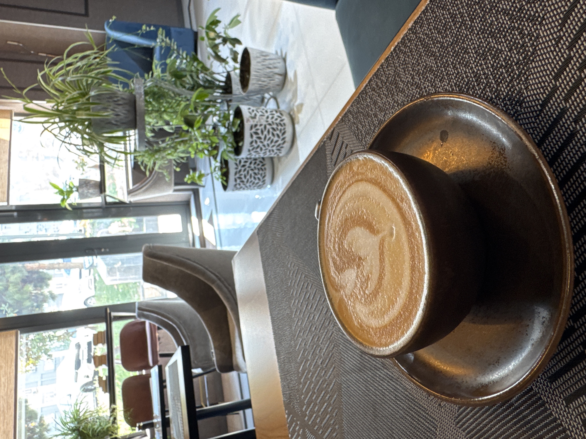 The image depicts a cup of latte art on a dark, textured table, likely in a cafe. The drink is on a saucer, and the table has a woven pattern. To the left, a row of potted plants sits on a windowsill, illuminated by natural light. Through the window, urban scenery is visible, including buildings and trees. A cafe setting is suggested by chairs and tables visible in the background. The overall atmosphere is calm and inviting. While the exact location in Tashkent, Uzbekistan cannot be forensically determined from the image, the general urban environment suggests it is a cafe in a populated area. There are no people visible in the frame.