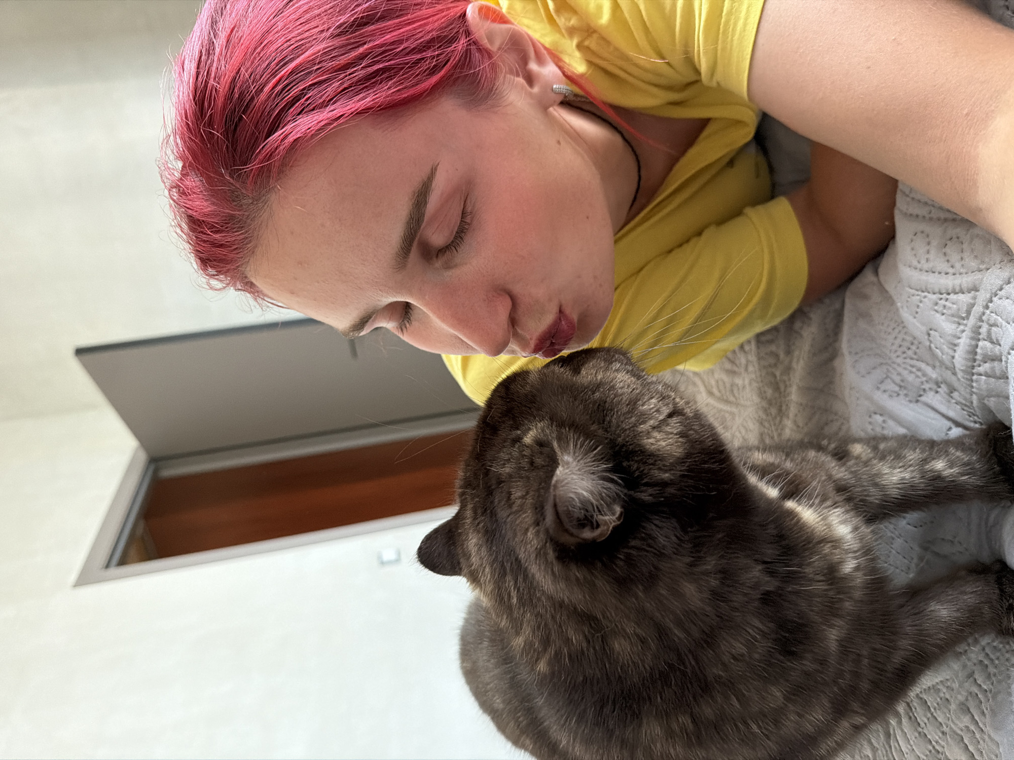 In this close-up, top-down shot, a person with vibrant pink hair is leaning in to kiss a cat. The person is wearing a bright yellow t-shirt and their eyes are closed in apparent affection. The cat, a dark-colored tabby, is looking up towards the person, with its nose almost touching the person's lips. The background shows a textured, light-colored surface, possibly a bed or sofa, and a section of what appears to be a window or a recessed architectural feature. The lighting suggests it is daytime, with sunlight casting a warm glow on the scene. The overall mood is intimate and tender, highlighting the bond between the person and their pet. There is no visible text in the image.