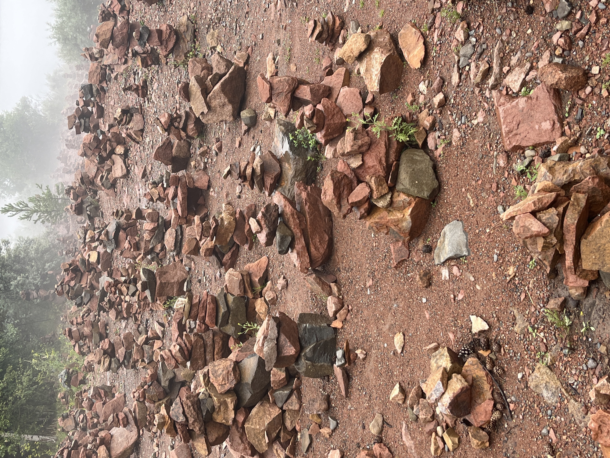 The image depicts a landscape populated with numerous stacked rock formations, known as cairns, scattered across reddish-brown soil and gravel. The scene is characterized by a misty or foggy atmosphere, obscuring the background where trees and foliage are visible. The cairns vary in size and complexity, with some appearing to be tall, precarious stacks while others are smaller, more stable arrangements. The ground is covered with smaller rocks, pebbles, and some sparse green vegetation. This scene is located in Divnogorsk, Russia, at the "Divnyye Gory" (Wonderful Mountains) natural park. There are no people or animals visible in the image. The focus is entirely on the rock formations and the natural environment.