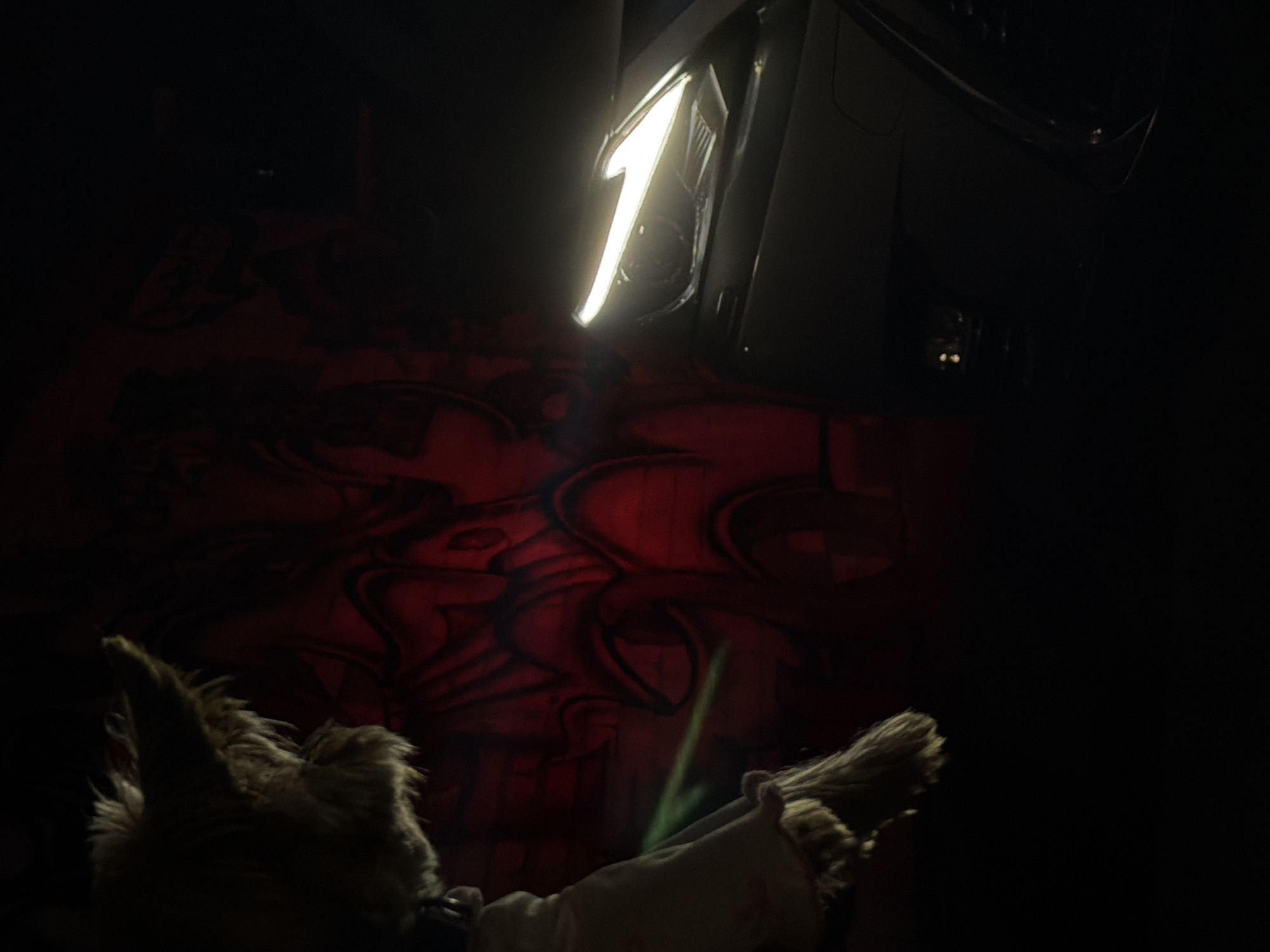 A light-colored stuffed animal dog, wearing a light-colored outfit and a dark collar, is positioned in the foreground on the left. Its head and upper body are visible, facing right. The stuffed animal appears to be illuminated by a green light source emanating from the left, casting a subtle glow on its fur and outfit. Behind the stuffed animal, a wall is covered in red and black graffiti, depicting stylized faces and abstract patterns. To the right of the stuffed animal, a dark-colored car is parked. The car's right headlight is brightly illuminated with a white light, casting a beam forward. The scene is dark overall, with the main light sources being the green light on the stuffed animal and the car's headlight. The location is the city of Warsaw, Poland.