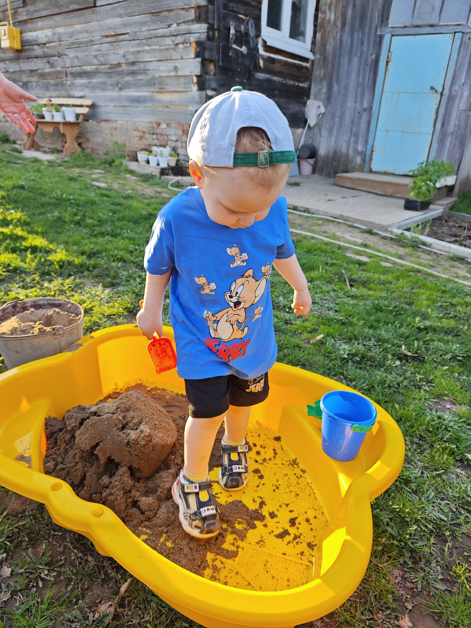 A young child wearing a blue t-shirt, black shorts, and a baseball cap is standing in a yellow plastic sandbox. The sandbox is partially filled with dark brown dirt or sand. The child holds a small red shovel in their right hand. Next to the sandbox is a metal bucket also filled with dirt or sand, and a small blue plastic bucket is inside the sandbox. The child's feet are clad in black, yellow, and white sandals. The background shows a grassy yard, a wooden building with a blue door and a white window, and various objects such as potted plants and a wooden bench. An adult's hand is visible in the upper left corner. The location is Фоки, Russia.