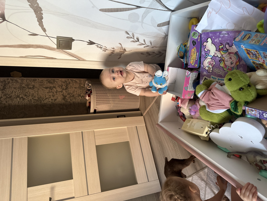 The image depicts an indoor scene within a residence in Chaikovsky, Russia, centered around two young children and a large toy storage box.
In the mid-ground, a young child, approximately a toddler, stands facing forward with a light pink t-shirt and light hair. The child holds a blue and white plush toy in both hands and looks upwards with an open mouth and wide eyes. To the left, the back of a second child's head and shoulders are visible, with light hair. This child is leaning over a large white storage box with a light pink trim, inspecting its contents. A small, brown, short-haired dog is visible between the two children, moving into the background, with only its hindquarters and tail clearly seen.
The prominent white storage box in the foreground is filled with various items, including multiple plush toys (a green one resembling a dinosaur, a pink and white one), a beige rotary-style telephone receiver, a white cloud-shaped decorative lamp, various small cardboard boxes (one pink, one yellow and blue), plastic toys, and several pieces of paper, including a purple one with cartoon figures and another with a drawing.
The background features two doorways. On the left, a light-colored wooden door with horizontal and vertical frosted glass panels is partially open. To the right, another doorway leads to an area with darker, textured wallpaper. A light-colored, possibly woven plastic, laundry basket filled with clothes is visible through this opening. On the wall to the right, adorned with light-colored wallpaper featuring brown botanical patterns, a square light brown light switch is mounted. The floor appears to be light-colored, with a small patterned rug visible beneath the child on the left.