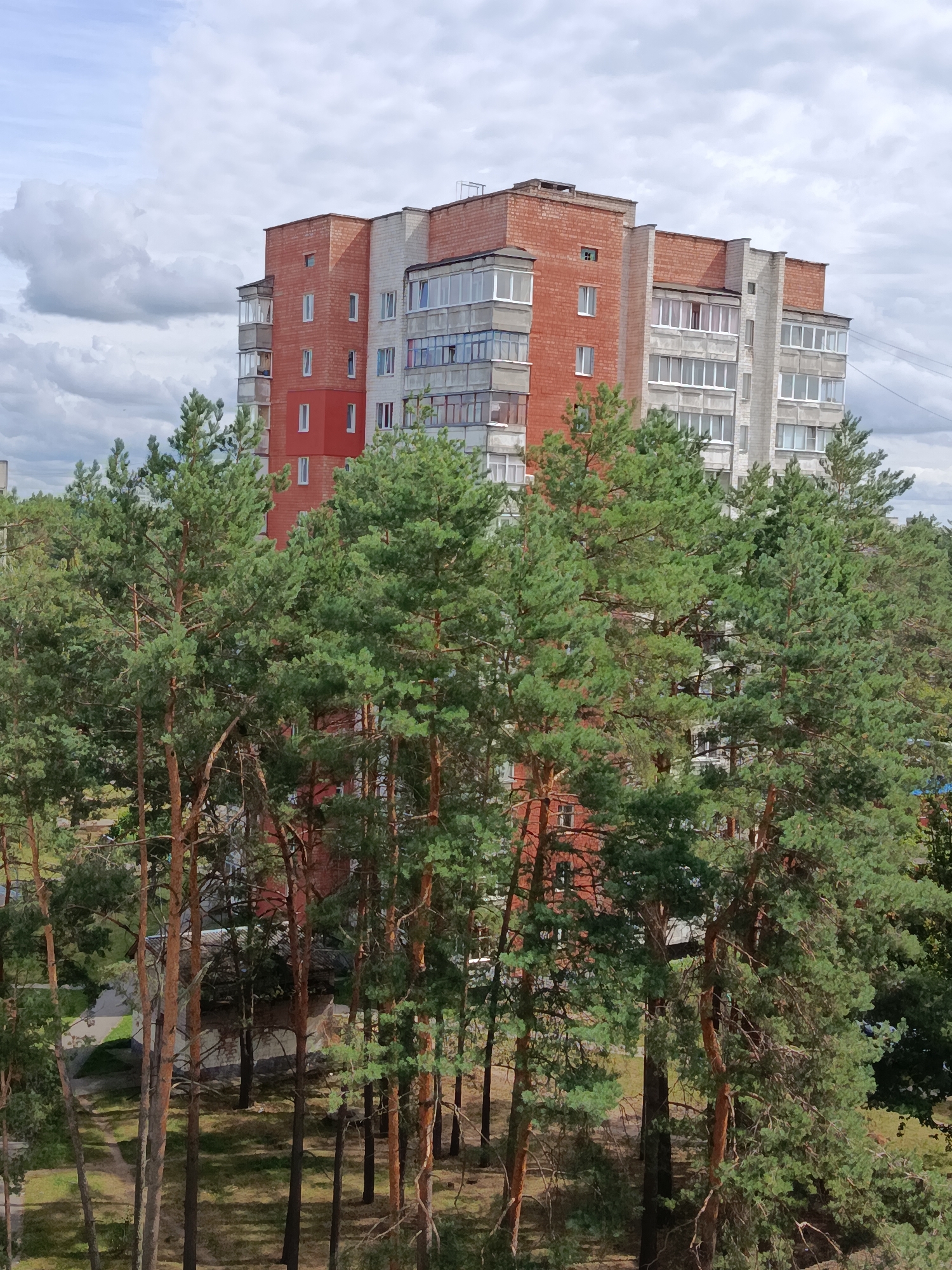 An exterior, eye-level, vertical medium shot captures an apartment building in Svietlahorsk, Belarus. The building is constructed of red and gray brick and features multiple floors with numerous windows and balconies. The apartment building is partially obscured by a dense growth of mature pine trees with green needles and brown trunks in the foreground. The sky above is cloudy with white and gray clouds against a pale blue background. The lighting suggests it is daytime, likely overcast or late afternoon. The scene depicts an urban environment with a notable presence of nature.