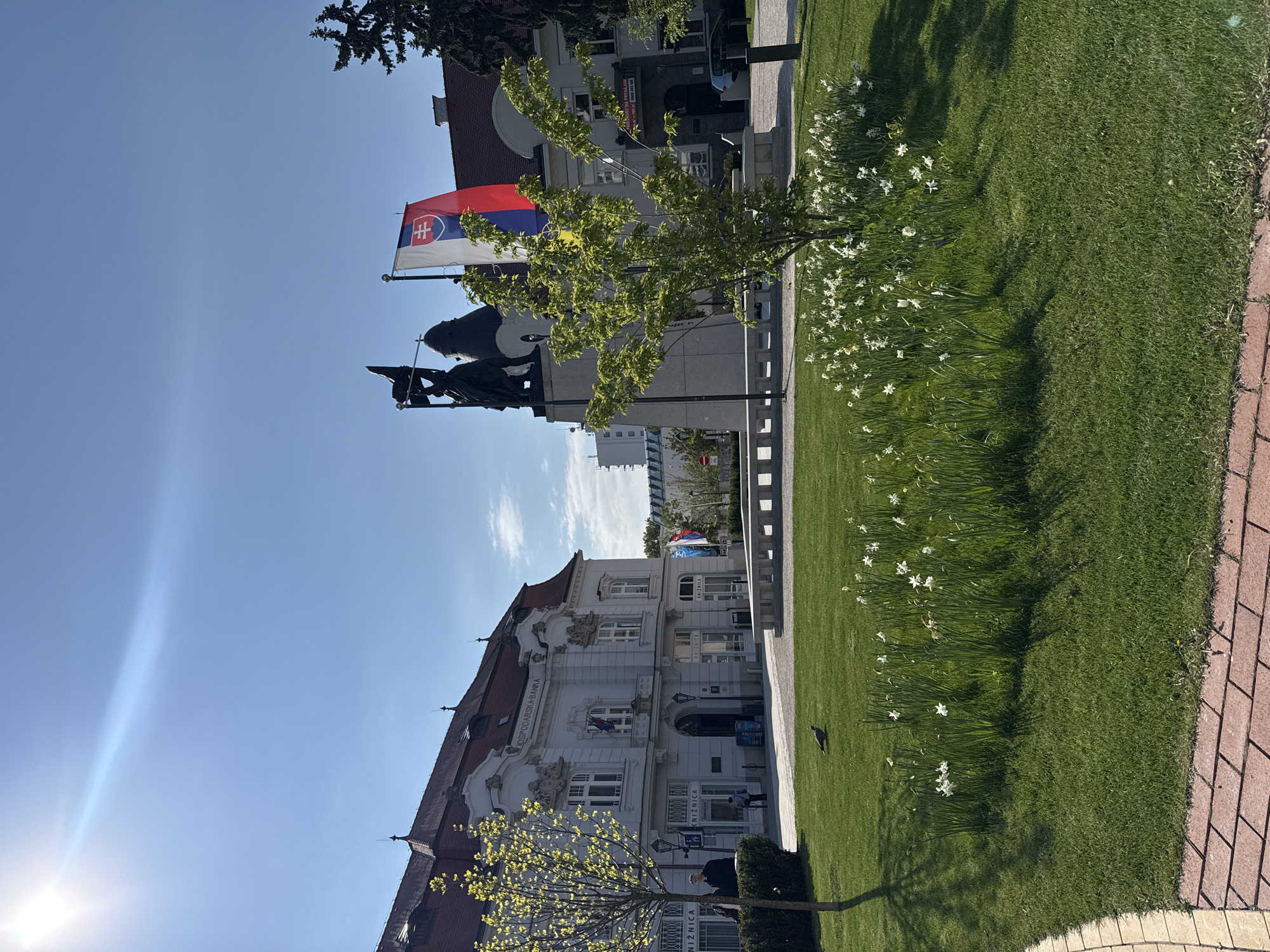 This image captures a bright, sunny daytime scene in Trnava, Slovakia, likely a public square or park area.
In the mid-ground, a dark-colored statue or monument, depicting a figure holding what appears to be a spear or flag, stands on a light-colored pedestal. Behind it, the national flag of Slovakia, with its red, blue, and white stripes and double cross emblem, flies from a flagpole. A small tree with vibrant green leaves is situated near the statue.
To the right, a well-maintained green lawn stretches across the frame, adorned with numerous white flowers resembling daffodils or narcissus. A small, dark bird, possibly a pigeon, can be seen foraging on the grass. The rightmost edge of the image shows a brick-paved path.
The background is dominated by a large, ornate building with a distinctive red tiled roof and multiple dormer windows. Its white facade features numerous windows and intricate architectural details. Visible text on the building identifies it as "HOSPODÁRSKA BANKA" (Economic Bank) and "KNIZNICA" (Library), suggesting a historical building housing these institutions. A person is visible standing near the entrance of this building. Further back, hints of other structures can be seen.
The sky is a clear, bright blue, with a prominent sun flare in the lower-left corner, indicating strong sunshine and a clear weather day. No specific event is taking place; the scene depicts a tranquil moment in a public urban setting.