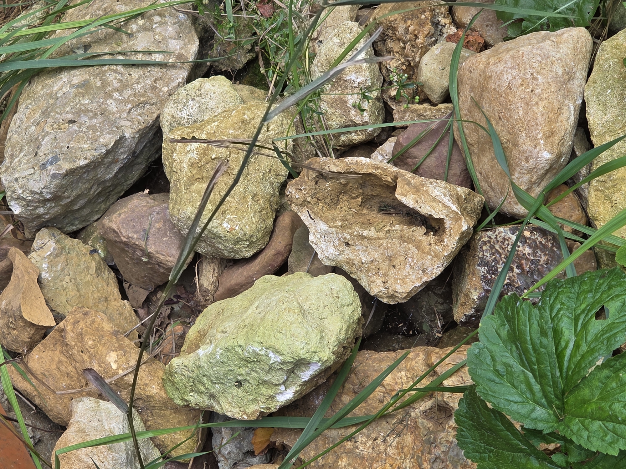The image displays a close-up, overhead view of a collection of rocks and vegetation. The rocks are varied in size, shape, and color, ranging from light tan and brown to a pale green with some white markings. Some rocks are rough and jagged, while others are smoother. Interspersed among the rocks are blades of green grass and some larger, dark green leaves in the lower left corner. The ground appears to be composed of dirt and smaller stones. There is no indication of any human presence or activity, nor is there any specific geographical information that could place this scene within the city of Речицы, Russia. The scene is natural and appears to be an outdoor setting, likely in a garden or a natural landscape.