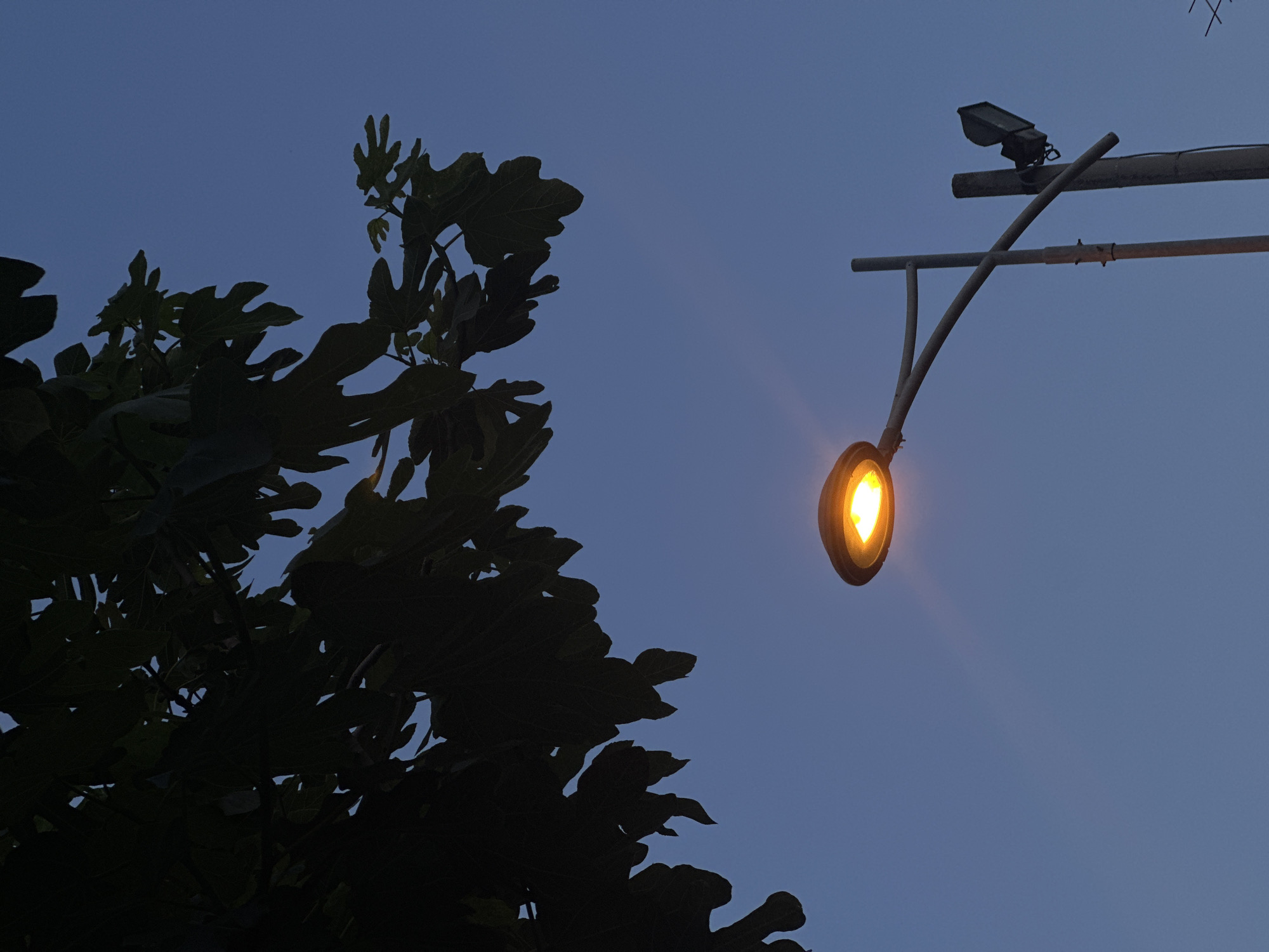 A low-angle shot captures a street scene at dusk or early evening in Šušanj, Montenegro. A leafy tree with prominent, dark green foliage occupies the left side of the frame, silhouetted against the blue-grey sky. To the right, a streetlight is illuminated, emitting a warm yellow glow. The streetlight is mounted on a gray metal pole that extends horizontally across the upper portion of the image, with a small, dark device attached atop. The sky is a gradient of blue, indicating the transition from daylight to night.