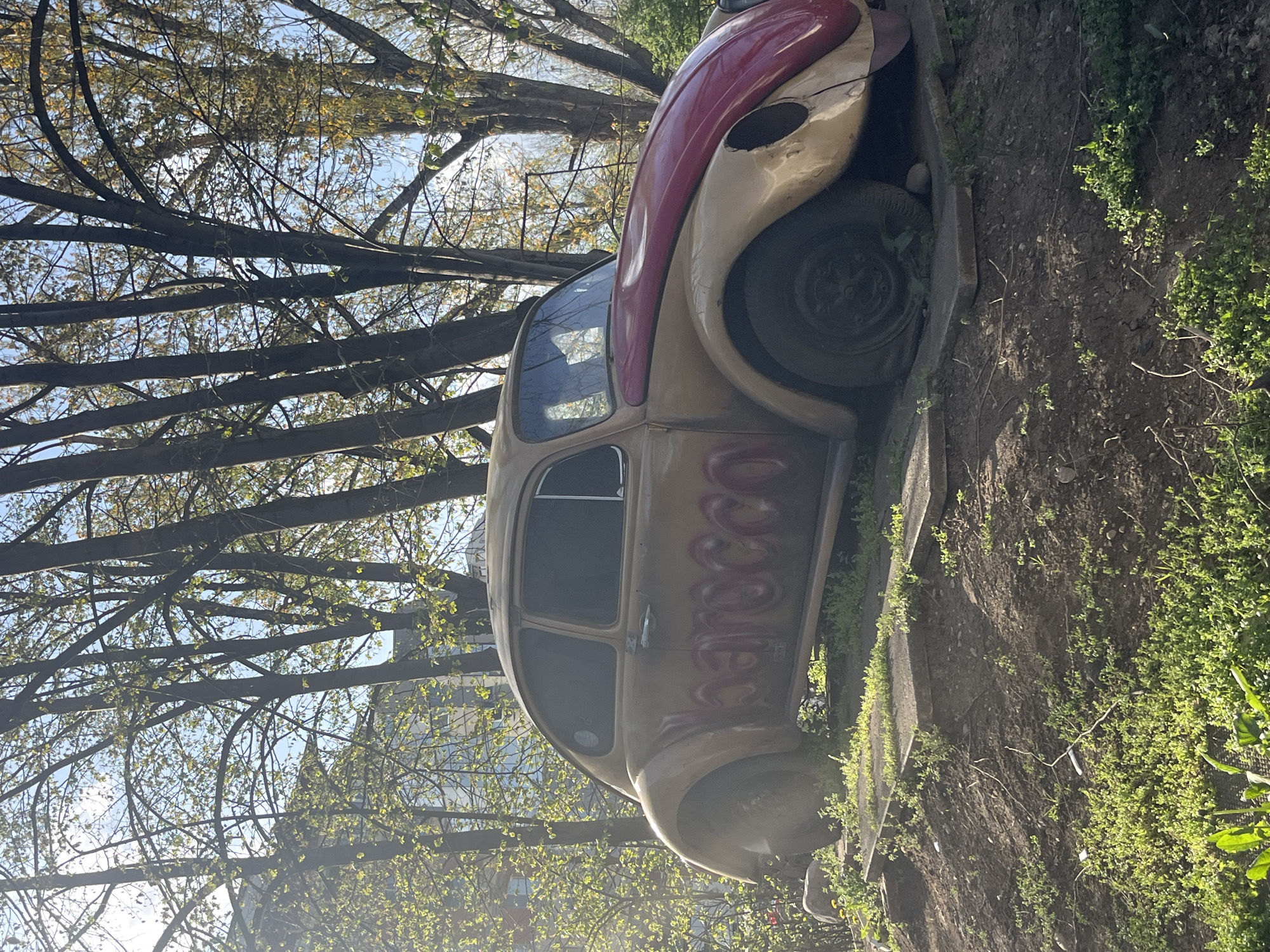 An old, tan and red Volkswagen Beetle with faded "Barocco" painted on the side is partially buried on a grassy, elevated concrete patch. The location is most likely Sofia, Bulgaria. Trees with budding leaves surround the car, obscuring a nearby building. The weather appears sunny.