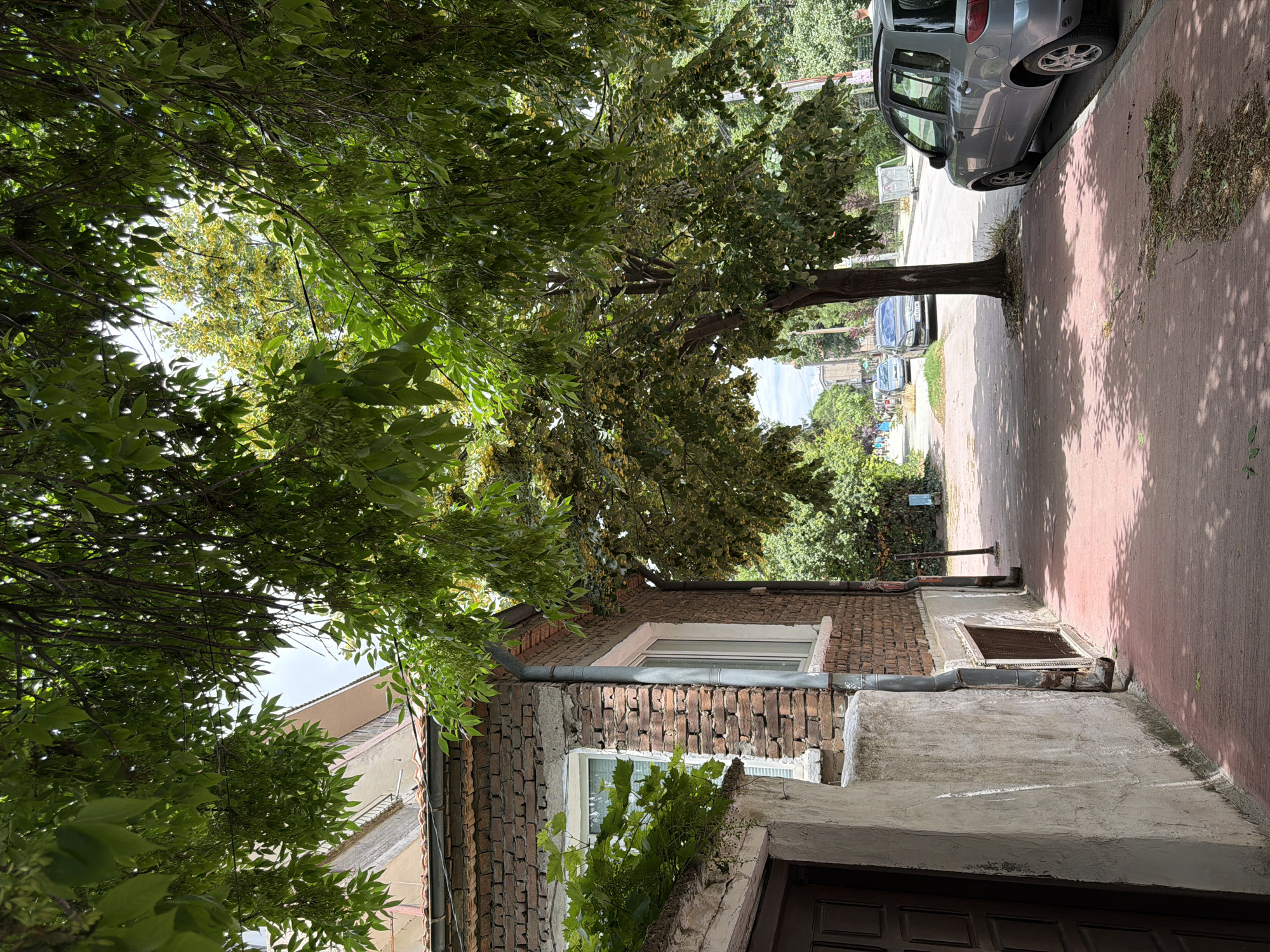 The image shows a street scene in Pazardzhik, Bulgaria, on a bright, cloudy day. A red-paved sidewalk runs along the left side of the frame, bordered by a brick building and a sidewalk tree. The building on the left is constructed from red brick with white-trimmed windows and a white plastered section near a dark wooden door. A downspout runs along the corner of the building. Lush green tree canopy dominates the upper portion of the image, with sunlight filtering through the leaves. Beyond the sidewalk, a paved street is visible with parked cars, including a silver hatchback on the right. Further down the street, other vehicles and pedestrians can be seen, along with more trees and buildings in the distance. The overall impression is a quiet, residential or semi-commercial street in a town.