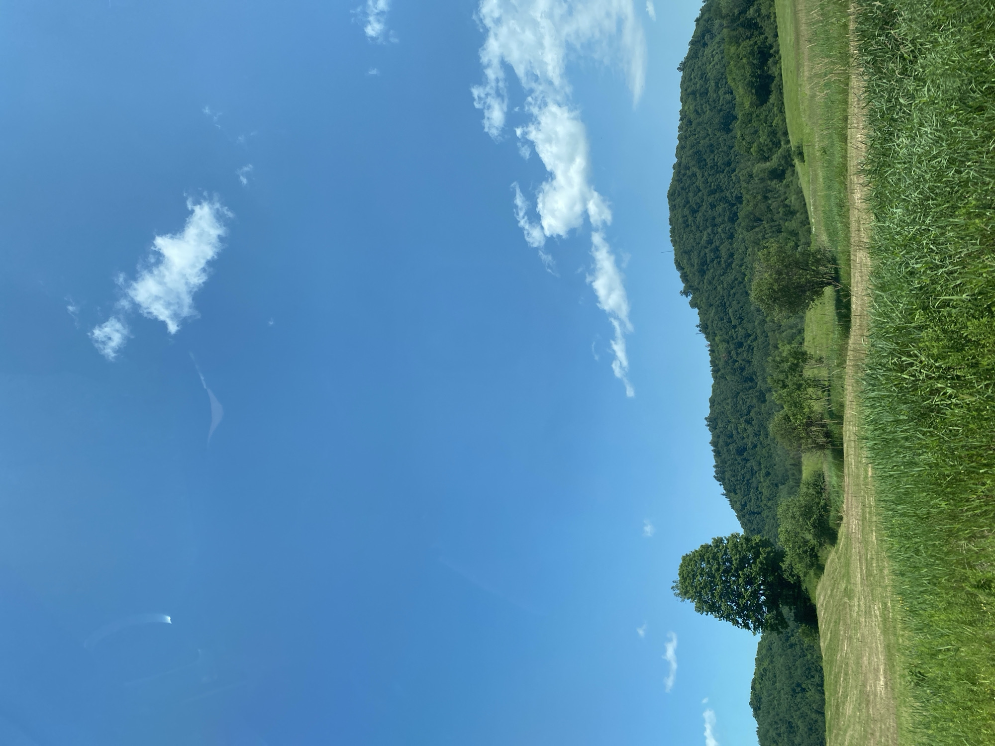 The image depicts a scenic landscape under a clear blue sky with scattered white clouds. In the foreground, a field of tall green grass transitions to a mown field with visible patterns from mowing. Further back, a large, solitary green tree stands on a gentle slope. Beyond that, a rolling, tree-covered hill forms the background. The environment appears to be rural and tranquil. There are no people or specific objects that would indicate a precise location within Saint-André-Avellin, Canada. The image is a general landscape view.