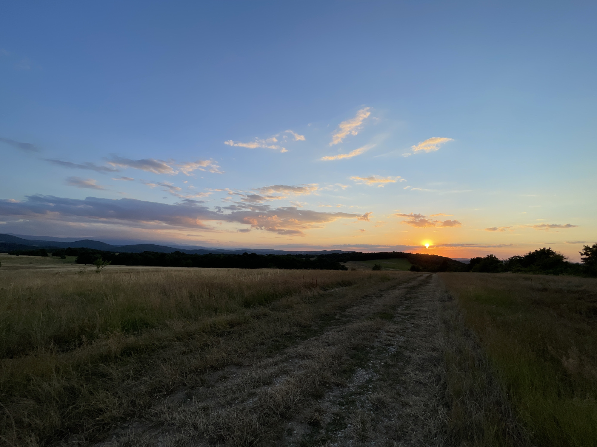 This image depicts a sunset over a rural landscape, likely in the vicinity of Dolni Dragoitsa, Bulgaria. The foreground is dominated by a dry, grassy field with a dirt path winding through it, leading towards the horizon. The path is composed of packed earth and small stones. In the middle ground, there is a dense line of trees, forming a dark silhouette against the setting sun. Beyond the trees, rolling hills are visible, culminating in a range of mountains in the far distance. The sky is a gradient of colors, transitioning from a clear blue at the top to hues of orange, pink, and yellow near the horizon, illuminated by the setting sun. Scattered clouds are present, catching the last rays of sunlight. The overall impression is one of tranquility and natural beauty during the golden hour. No people or animals are present in the image.