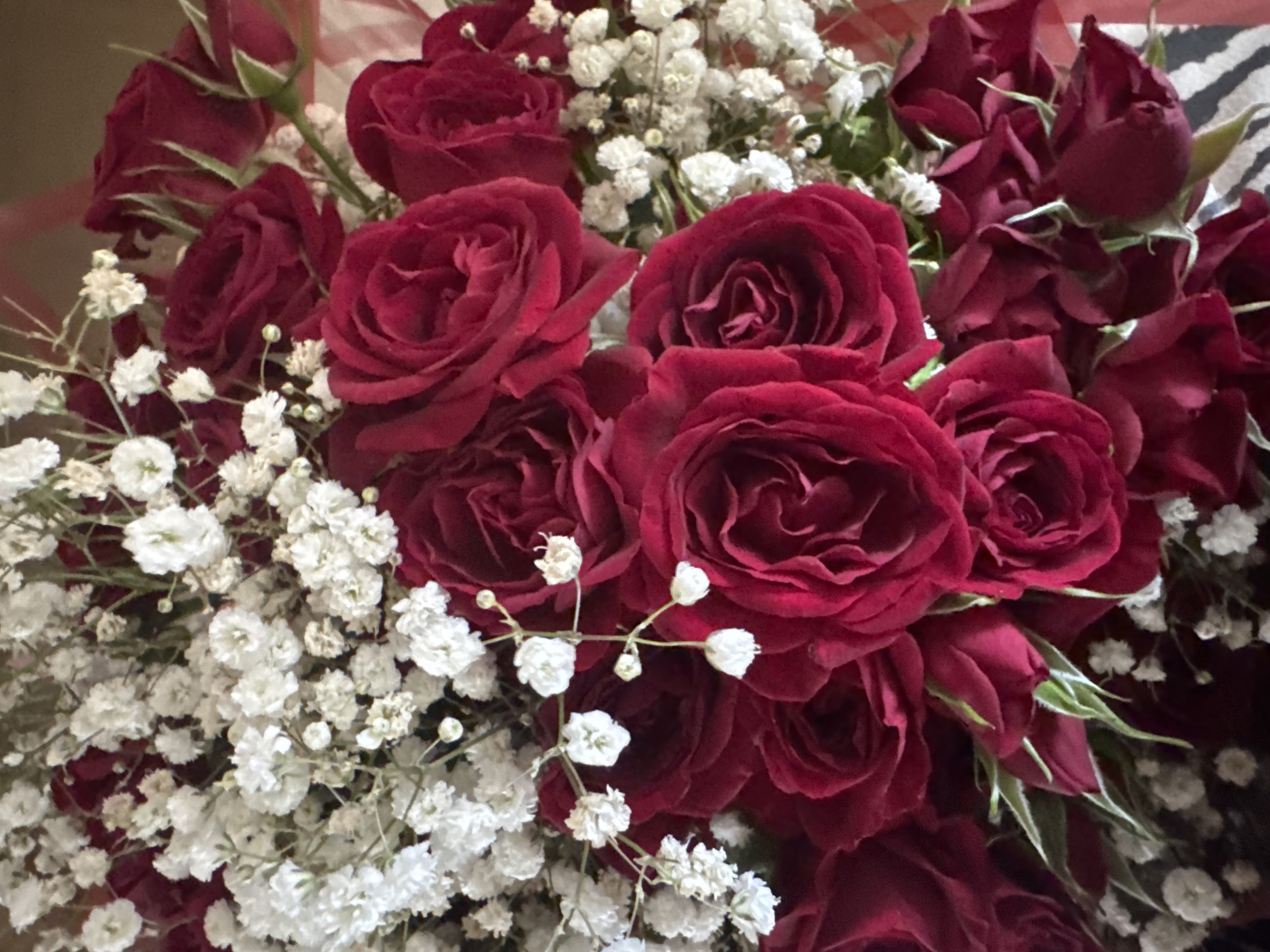 A close-up shot depicts a bouquet of deep red roses interspersed with delicate white baby's breath flowers. The roses are in full bloom, with ruffled petals creating a velvety texture. The baby's breath adds a light, airy contrast to the richness of the roses. The arrangement appears freshly cut and neatly arranged. The location and specific context are unclear from the image.