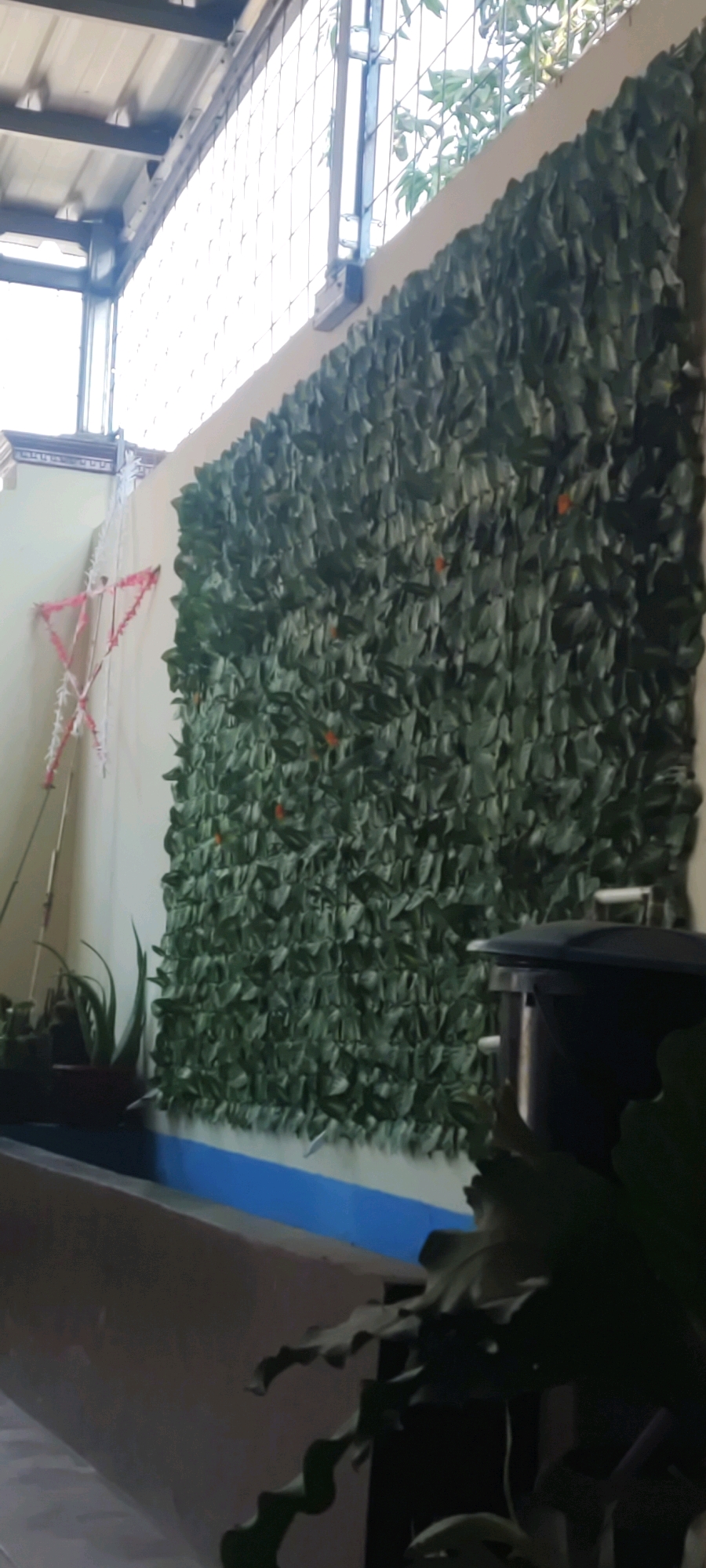The image shows a partially covered outdoor area, possibly a patio or balcony, in Japura Kidul, Indonesia. A wall is covered with artificial green foliage, creating a dense, textured surface. Small orange accents are interspersed within the greenery. To the left of the foliage-covered wall, a white and pink star-shaped decoration hangs from a thin string, suggesting a festive or decorative purpose. Below the star, a thin pole extends downwards. Further to the left, several potted plants are visible, including one with spiky, aloe-like leaves. In the foreground, a long, rectangular planter or trough runs horizontally, painted with a blue stripe near its top edge. To the right of the foliage wall, a black trash bin with a silver handle is partially visible. The ceiling above appears to be made of corrugated metal, supported by beams. A metal railing with a grid-like structure is also present, with glimpses of green leaves from actual trees beyond. The lighting suggests it is daytime, with natural light filtering in from the open area above and through the railing.