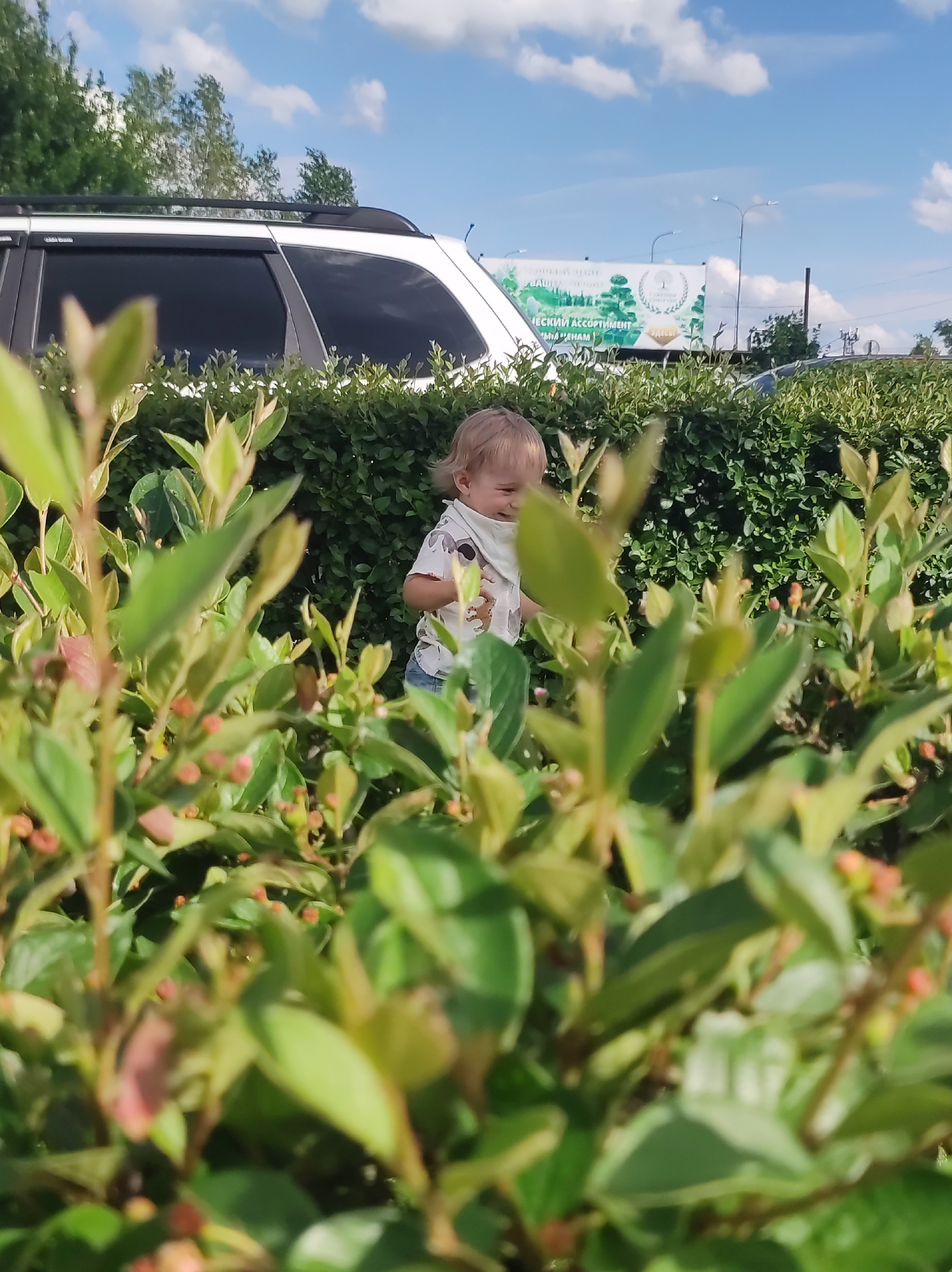 A young child with blond hair and a light-colored shirt is visible through a dense green bush with small red berries. The child is smiling and looking to their left. Behind the bush and the child, a white SUV is parked, with its windows tinted. Further in the background, a billboard is visible with images of trees and text. The sky is blue with white clouds, suggesting it is daytime and fair weather. The scene appears to be outdoors, possibly in a park or residential area, given the presence of trees and a billboard. The billboard features imagery of bonsai trees and text that appears to be in Russian, possibly advertising a gardening center or nursery. There are also streetlights visible in the background. The overall impression is a casual outdoor scene with a focus on the child enjoying the day.