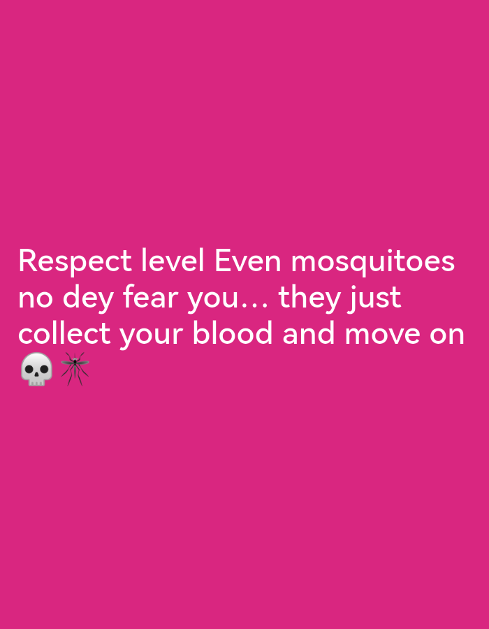 The image is a social media post with white text on a bright pink background. The text reads: "Respect level Even mosquitoes no dey fear you... they just collect your blood and move on 💀 🦟". The text is centered on the screen, with the emojis positioned below the last line of text. There is no discernible location information within the image to suggest it is from Ikorodu, Nigeria.