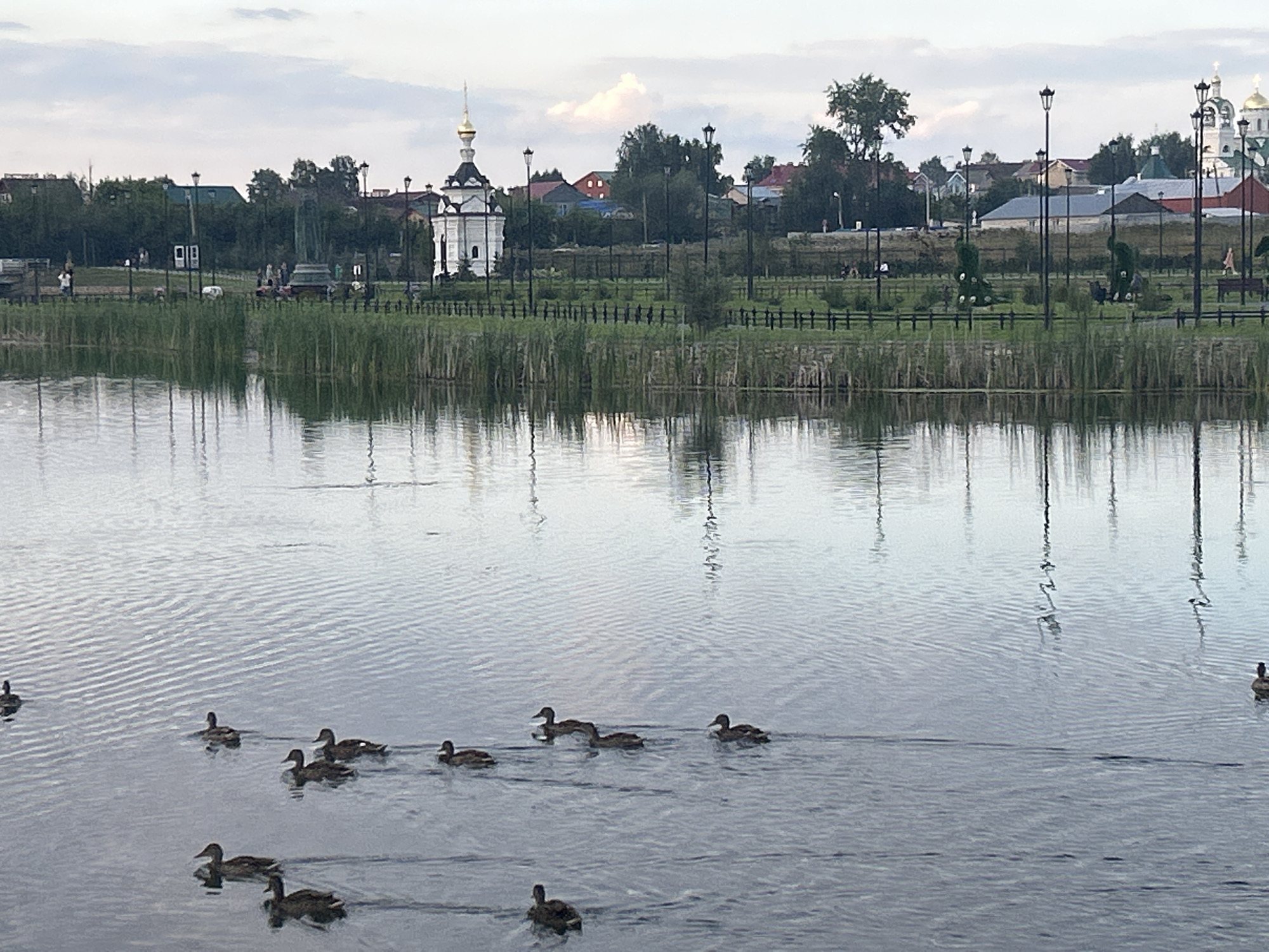 The image shows a body of water with several ducks swimming on its surface. The water is calm with ripples reflecting the overcast sky and surrounding environment. On the far bank, there is a grassy area with a fence and several lampposts. Beyond the fence, buildings are visible, including a white church with a golden dome and other residential or public structures. Trees and greenery are interspersed throughout the landscape. The scene appears to be in a park or public space. Based on the distinctive architecture of the church, this location is likely the Holy Trinity Cathedral in Diveyevo, Russia.