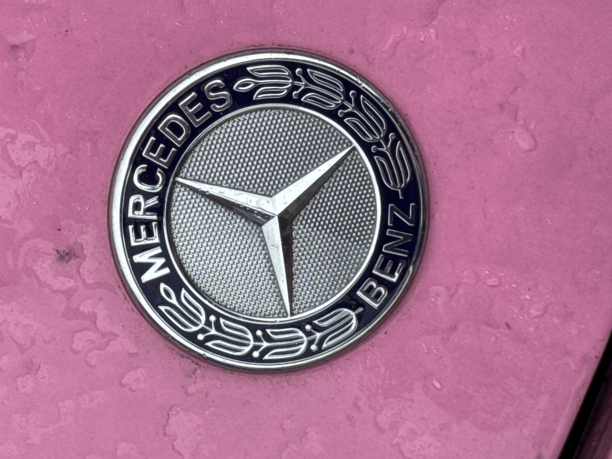 This is a close-up, eye-level, medium shot of a silver Mercedes-Benz emblem against a textured, light pink background. The emblem is circular with the brand name "MERCEDES-BENZ" written in an arc around the perimeter. Inside the circle is the iconic three-pointed star, also in silver, set against a textured, gray background. Decorative elements, resembling stylized flowers or leaves, are present on the inner edge of the emblem's dark blue band. The pink background appears to be a car's surface, possibly showing some moisture or wear, indicated by darker patches and subtle texture. The lighting is neutral, suggesting an overcast day or indoor lighting, with no strong shadows. The image focuses solely on the emblem, providing no context about people or a specific event. The overall impression is one of detail and brand recognition.