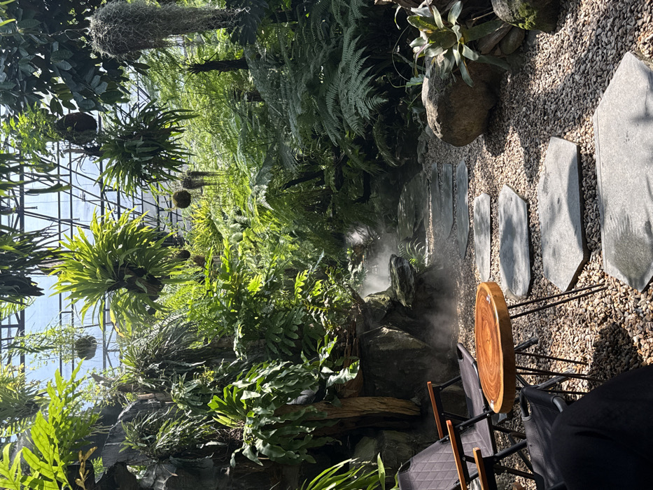 The scene depicts a meticulously maintained indoor tropical garden, identified as the Wonderlust Danang cafe in Đà Nẵng, Vietnam. The environment is characterized by a dense arrangement of lush green vegetation, including various ferns, large-leafed plants, and numerous hanging epiphytes like bird's nest ferns and Spanish moss. A translucent roof structure with visible metal framing allows natural sunlight to filter into the space.
A misting system is active, producing visible plumes of fog that create a humid atmosphere, particularly along the central pathway. This pathway consists of irregularly shaped hexagonal grey stepping stones laid over a bed of small, light-colored gravel, winding from the foreground into the mid-ground among the plants.
In the lower-left foreground, a seating area is present, featuring two black fabric folding chairs with light wooden armrests. These chairs are positioned around a small, circular wooden table with a natural, live-edge-style top and three black hairpin metal legs. Large rocks, some supporting additional plant life, are integrated into the landscaping along the left side. No individuals are visible in the image.