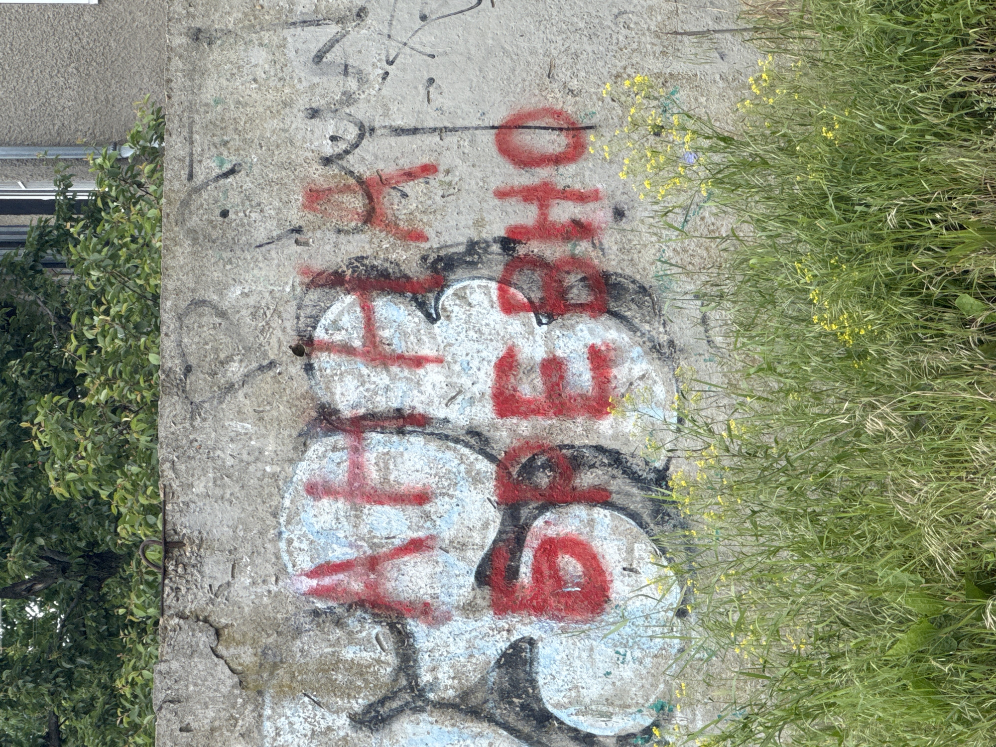 A concrete wall with graffiti is located next to vegetation. The graffiti consists of large, bubble-lettered writing, with underlying colors of white and blue outlined in black. Superimposed on the bubble letters is red graffiti. There is additional black graffiti above and to the left of the main piece. The vegetation consists of green foliage and yellow flowers. A leafy tree is on the left of the wall. A building's corner is visible in the upper left. The location is Yelizavetinskaya, Russia.