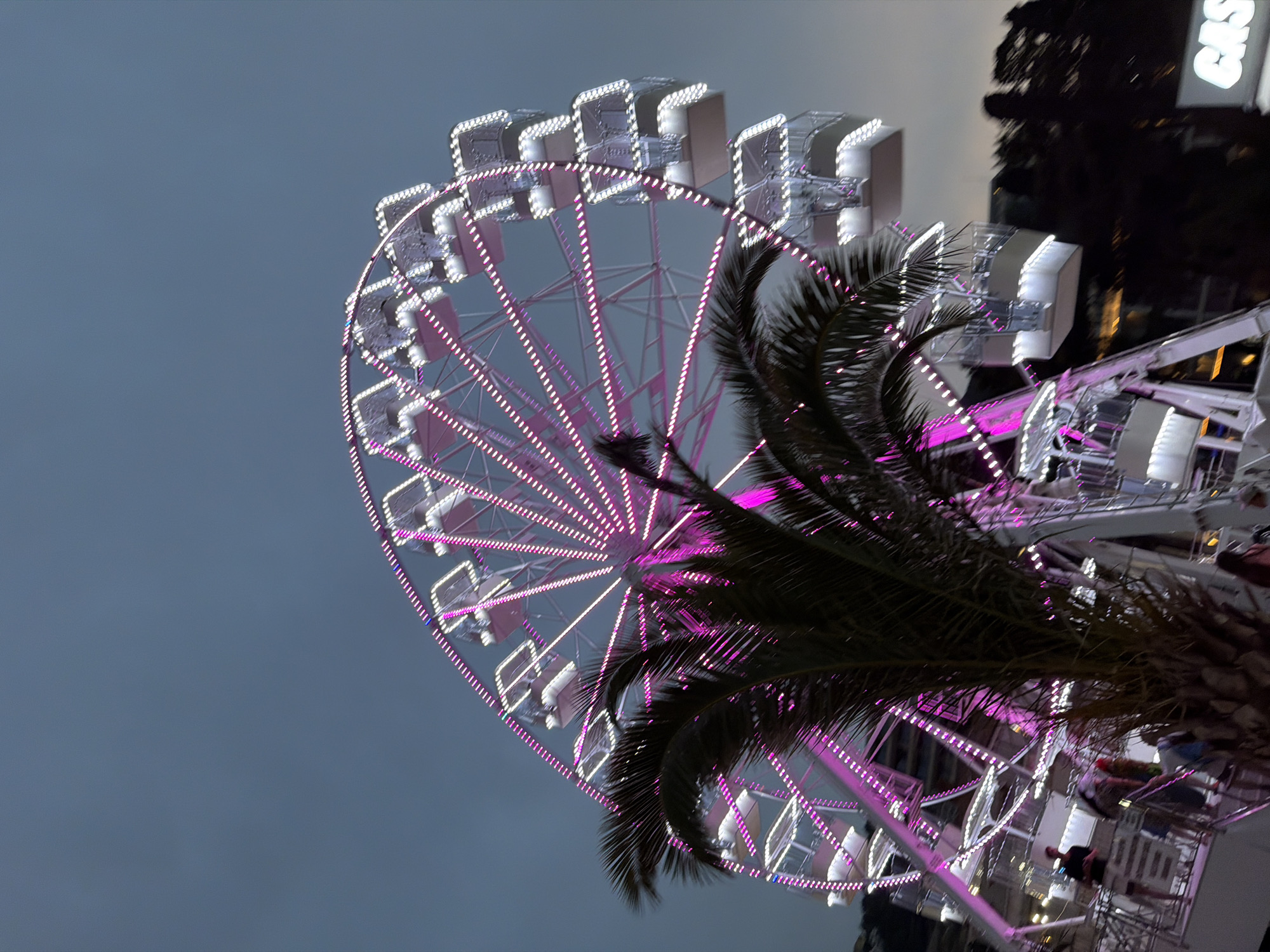 An eye-level, low-angle, medium shot captures a brightly lit Ferris wheel at dusk in Budva, Montenegro, with a silhouetted palm tree in the foreground. The Ferris wheel, adorned with pink and white lights, dominates the frame. Several enclosed gondolas are visible, each illuminated with white lights. A dark, dense palm frond with visible leaves partially obscures the left side of the Ferris wheel. In the lower left quadrant, a few people are standing on an elevated platform, appearing to be waiting or boarding. The sky above is a muted, cloudy gray. To the far right, a portion of a sign with large white letters, partially obscured, is visible. The scene is characteristic of a coastal city's evening entertainment offerings, likely a promenade or amusement area.