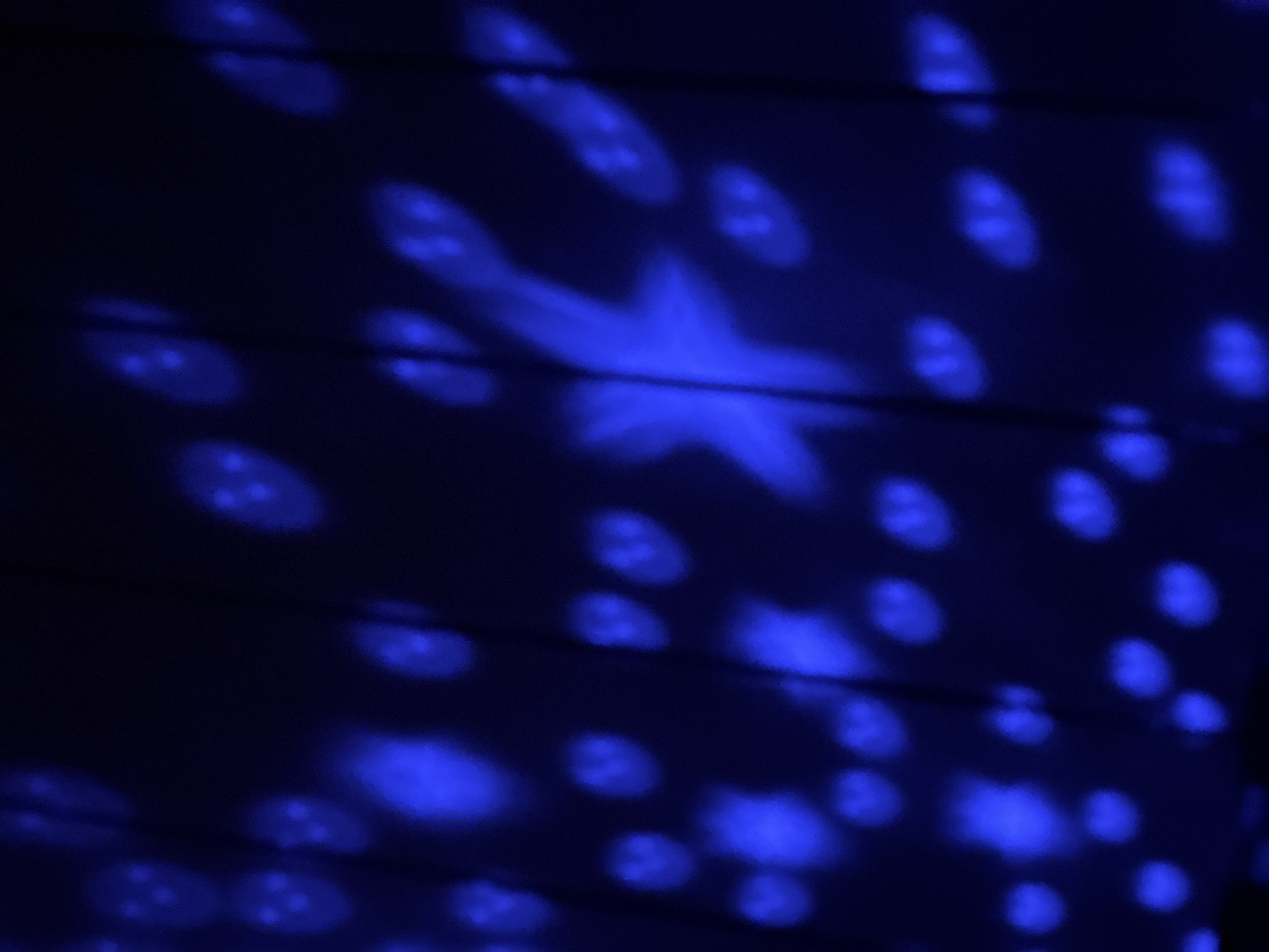 The image shows a dark blue surface illuminated with blurred blue lights. The lights are arranged in a pattern, with some appearing as small circles with what look like three dots inside, and one larger shape that resembles a star. The surface appears to be textured, possibly with horizontal lines or ridges. The lighting gives the scene a nocturnal or interior atmosphere. The Borino, Bulgaria location is not confirmed by the image alone.