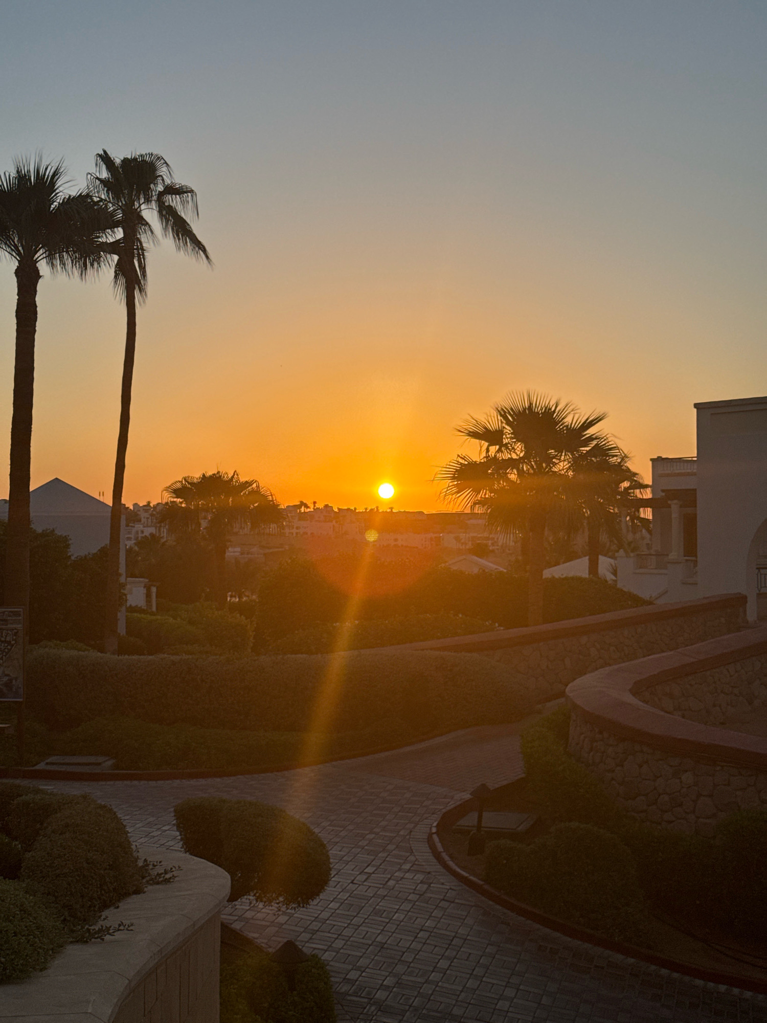 This is a vertical, eye-level, medium shot of a sunset over a resort area in Sharm El Sheikh, Egypt. Two tall, dark palm trees are silhouetted against the orange sky on the left side of the frame. In the middle ground, a cluster of buildings with white walls and dark roofs are visible, interspersed with more palm trees and lush green foliage. The sun, a bright orange orb, is setting just to the right of the center, casting a strong lens flare that stretches diagonally down and to the left. The foreground features a winding walkway paved with dark grey brick pavers. Curved walls constructed of stacked stones and topped with green bushes line the walkway. A white building with arched doorways and windows is visible on the far right, partially illuminated by the setting sun. The overall lighting suggests the golden hour, with warm tones dominating the scene. No people are visible in the image.