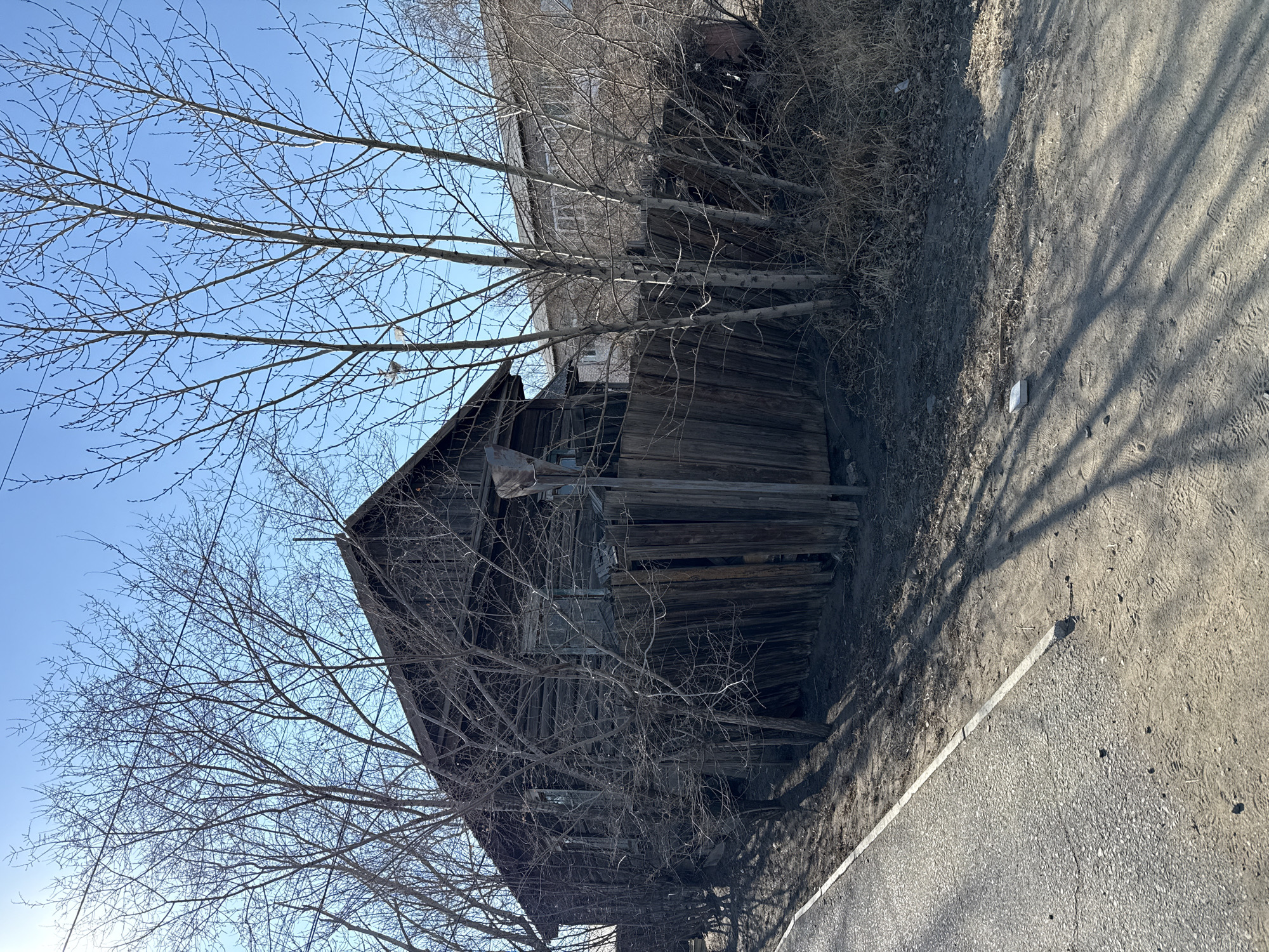 The image shows an old, dilapidated wooden structure in what appears to be a state of disrepair. The structure is partially obscured by bare trees and overgrown vegetation. The surroundings consist of a dirt and gravel ground surface next to a cracked sidewalk. The photo was taken in Borzya, Russia. The building is likely abandoned, and its condition suggests neglect and weathering. The scene is illuminated by sunlight, casting shadows across the ground.