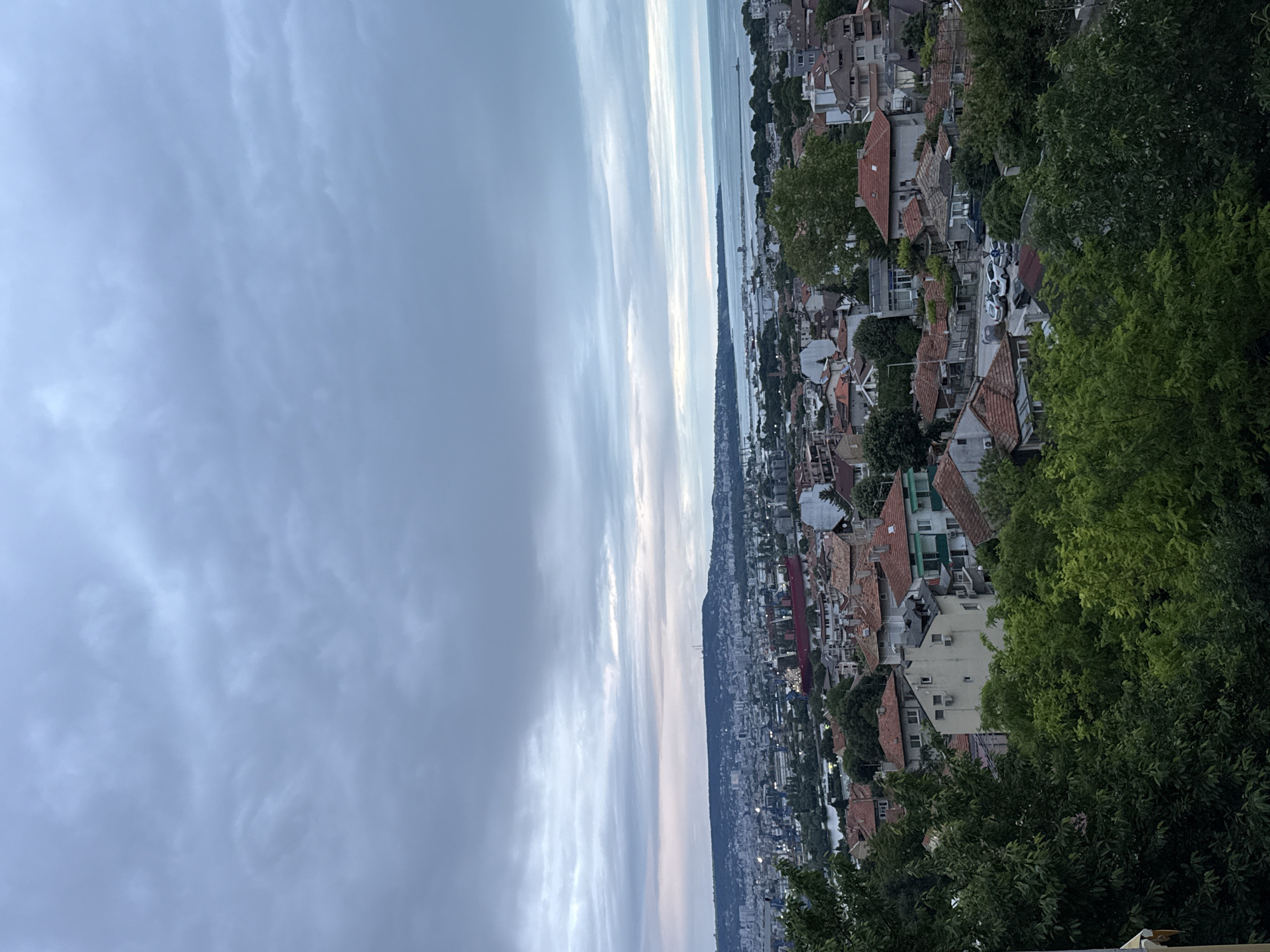 The image shows a panoramic view of a city overlooking a body of water under a cloudy sky. In the foreground, dense green trees dominate the lower portion of the frame, obscuring some of the houses immediately behind them. The houses are of varying sizes and architectural styles, with many featuring red tile roofs. Further in the distance, the city extends towards the water, with more densely packed buildings, industrial structures, and a large red ship visible. The background shows a wide expanse of water meeting a hazy horizon, with a hilly landscape and a city skyline stretching along the coastline. The sky is filled with an overcast of grey and white clouds, suggesting either dawn, dusk, or a generally overcast day. The overall scene depicts an urban environment adjacent to a port and the sea, with a significant amount of vegetation in the foreground.