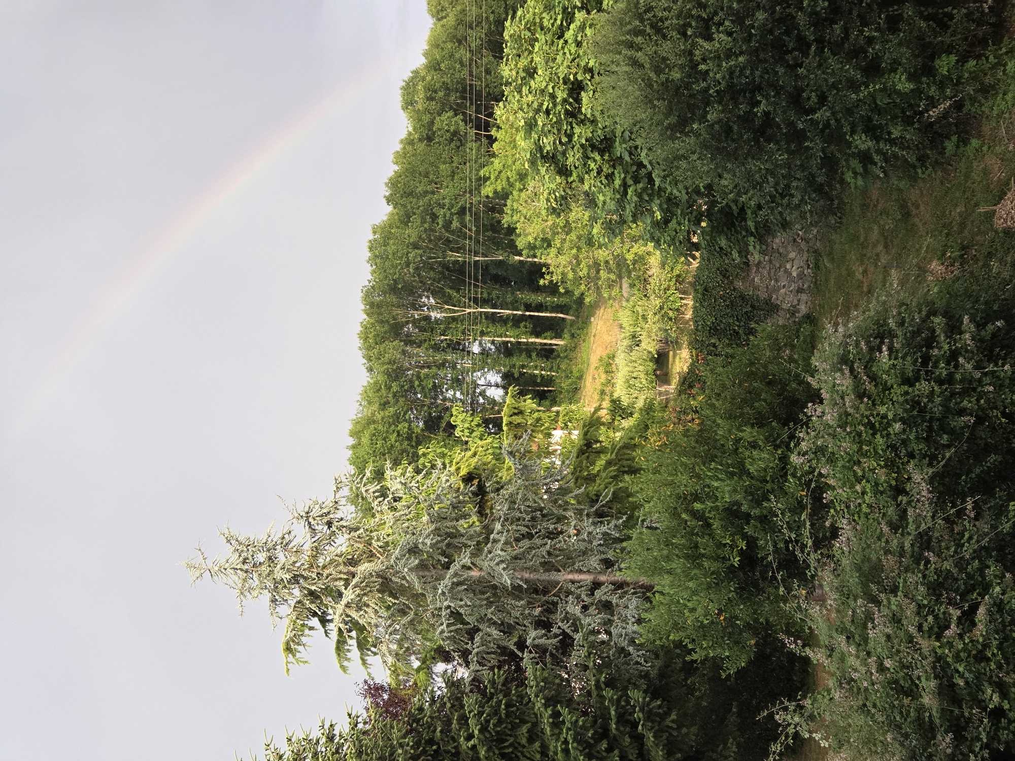 This is a vertical, eye-level, outdoor, daytime photograph taken in Baztan, Spain. The scene depicts a lush green landscape with a prominent rainbow arching across a pale, overcast sky on the left side of the frame. A dense canopy of trees dominates the background, with a line of taller, thinner trees in the mid-ground interspersed with overhead power lines. The foreground features a variety of greenery, including a large, silvery-green conifer tree on the left and various bushes and smaller trees. A narrow, unpaved path winds through the foliage towards the center of the image, disappearing into the dense vegetation. The overall impression is one of a tranquil, natural setting after a rain shower, suggested by the presence of the rainbow. The lighting is soft and diffused, consistent with an overcast sky. There is no visible text in the image.