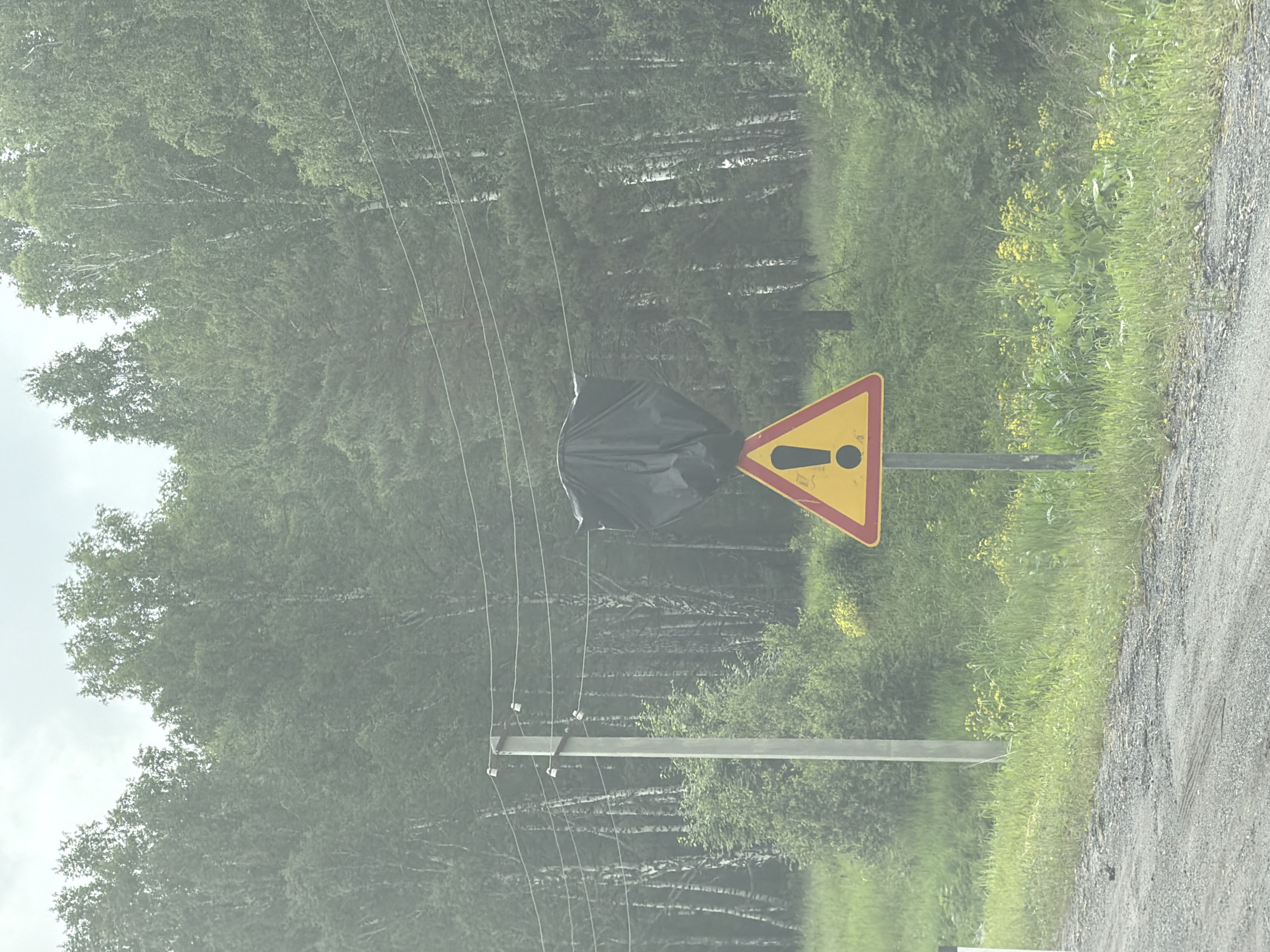 The image shows a rural roadside scene in Nizhniy Atlyan, Russia. A triangular warning sign with a red border and yellow interior, featuring a black exclamation mark, is prominently displayed. Above the sign, a large black plastic bag is suspended, obscuring the view of a power line. The background is dominated by a dense forest of birch and pine trees, with a grey, overcast sky. A concrete utility pole with electrical wires runs parallel to the road. Lush green grass and yellow wildflowers cover the roadside embankment. The foreground consists of a gravel road. No people are visible in the image.