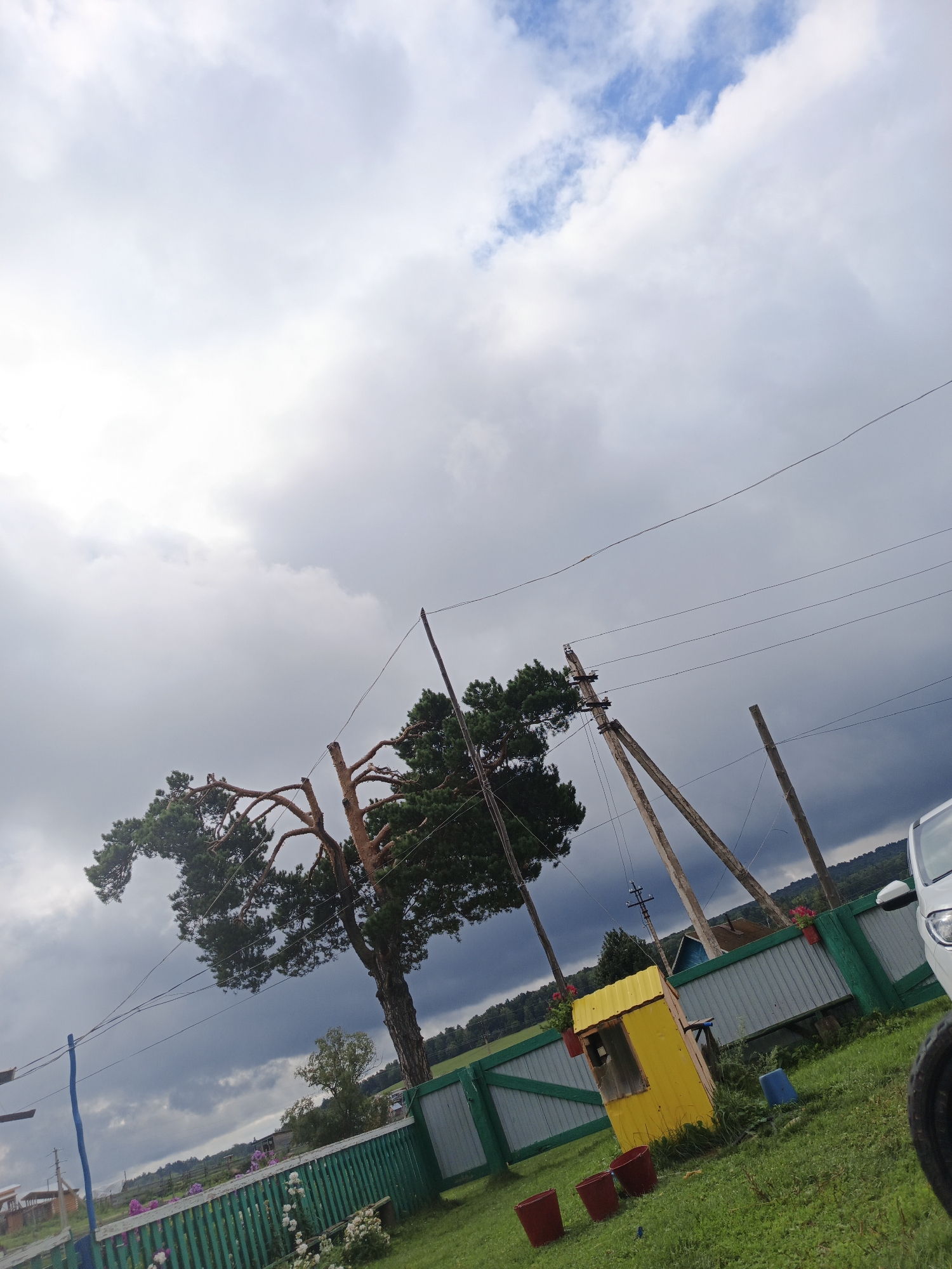 The image depicts an outdoor scene in the village of Islambaevo, Russia, under a cloudy sky. In the foreground, a green wooden fence runs horizontally across the frame. To the right of the fence, a white car is partially visible. Beyond the fence, a grassy yard contains several red buckets and a small yellow structure that appears to be a playhouse or shed with a window opening. A blue bucket is also present near the yellow structure.
Dominating the midground is a large, old pine tree with distinctive gnarled branches that extend out from its trunk, some of which are bare. Electrical poles with wires are visible in the background, one of them angled with the tree. The landscape beyond the fence is characterized by rolling hills covered in vegetation, with some houses and trees interspersed. The sky is filled with a mix of light and dark clouds, suggesting overcast or potentially stormy weather. The ground is covered in green grass, with some patches of purple and white flowers near the fence. The overall impression is a rural setting, possibly a residential yard, with elements of both nature and man-made structures.