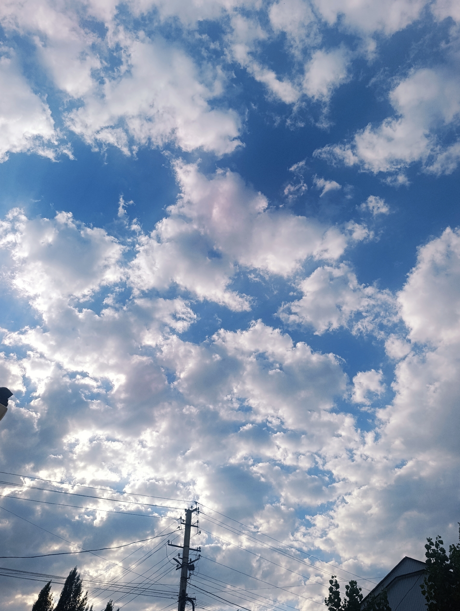This is a photograph taken in Naryn City, Kyrgyzstan, featuring a vast expanse of blue sky filled with scattered white and grey clouds. The lower portion of the image shows overhead power lines and utility poles, a common urban feature. To the far right, the roofline of a building and the tops of trees are visible, indicating a developed area. The lighting suggests it is daytime, with sunlight filtering through some of the clouds. There are no people or animals clearly visible in the frame. The scene depicts a typical sky view above a city.