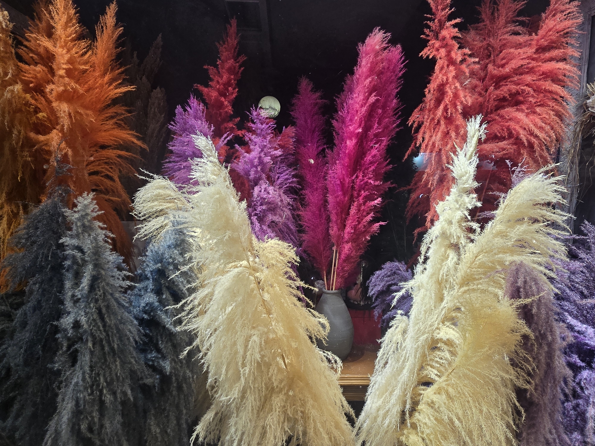 A display of dried pampas grass in various vibrant colors, including orange, purple, pink, red, cream, and dark grey, is arranged in a store window. The pampas grass plumes are fluffy and feathery. In the background, a dark vase holds some of the pink and purple plumes. The arrangement is set against a dark background, with some reflections visible in the glass of the window. This display is located in Nea Ionia, Greece.