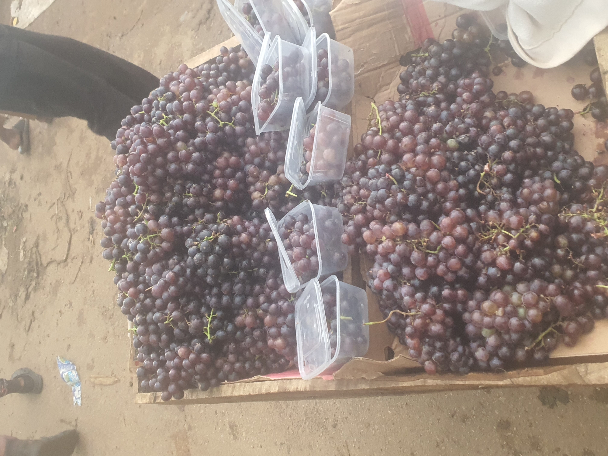 The media file shows a close-up, top-down view of several bunches of red grapes, some of which are packed in clear plastic containers. The grapes are predominantly a deep reddish-purple color, with some lighter shades and a few hints of green. They are arranged in bulk on a flat surface that appears to be a market stall, likely outdoors given the rough, earthy ground visible at the bottom and left of the frame.
In the background and to the left, a person's legs and feet are visible, clad in dark trousers and what appears to be a shoe or sandal. The person is out of focus and their presence suggests a market setting where goods are being sold or displayed. A crumpled piece of paper with some colorful patterns, possibly packaging or a label, is also visible on the ground.
The overall scene depicts a market stall in Rafin Par, Nigeria, where grapes are being sold. The lighting suggests it is daytime, with natural light illuminating the grapes. The crates and containers holding the grapes appear to be made of cardboard and plastic, common materials for market displays. The abundance of grapes suggests a plentiful harvest or a busy market day. There is no visible text of significant size or clarity.