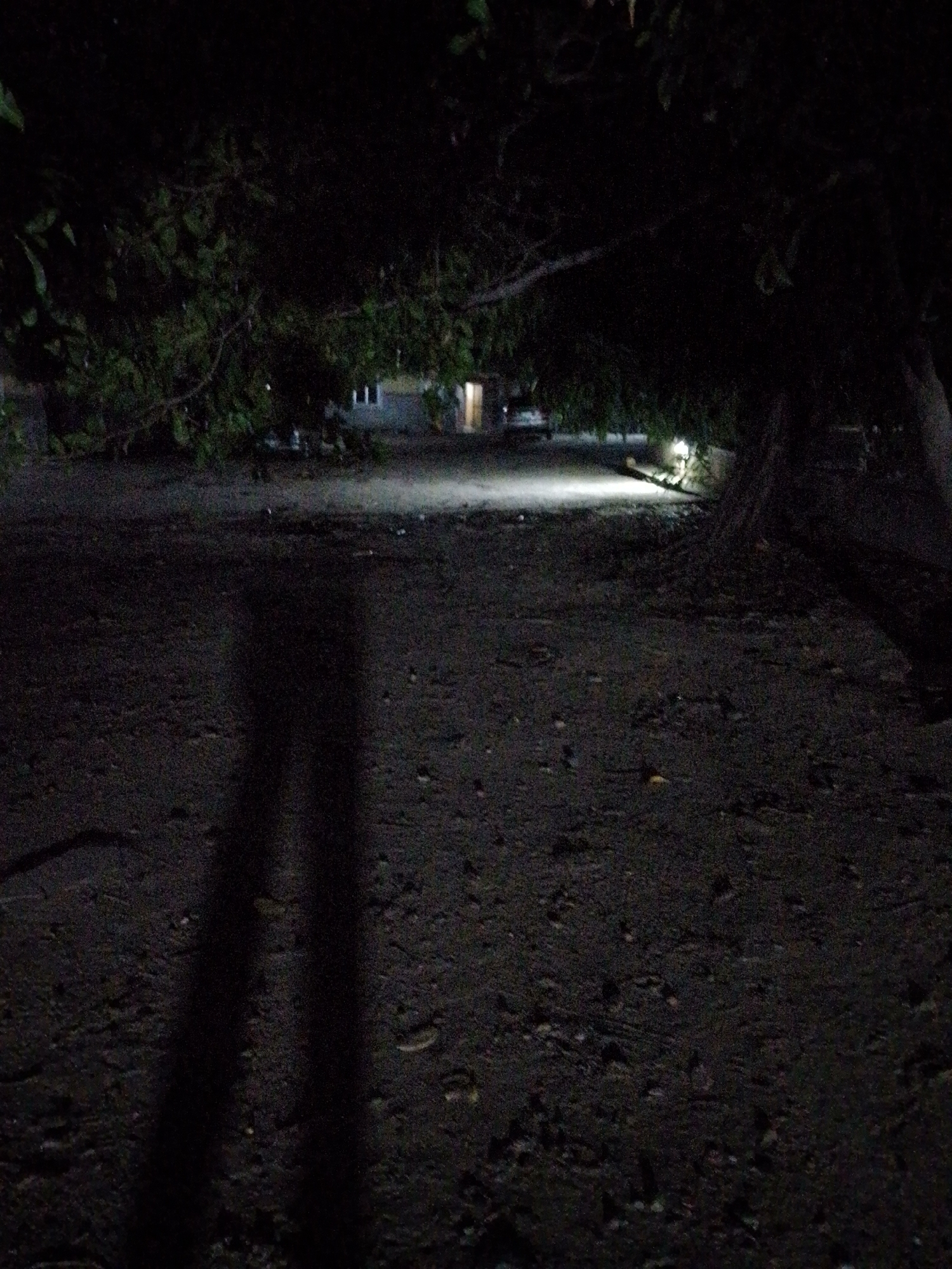 The image depicts a dimly lit, outdoor scene at night in Adankolo, Nigeria. A dark ground surface occupies most of the foreground, obscured by shadows. Overhanging branches and foliage from a tree canopy cover the upper portion of the frame. In the middle distance, a building is visible with a window and a doorway illuminated. There is a car parked near the building. The overall environment appears dark and somewhat obscured, typical of nighttime conditions.