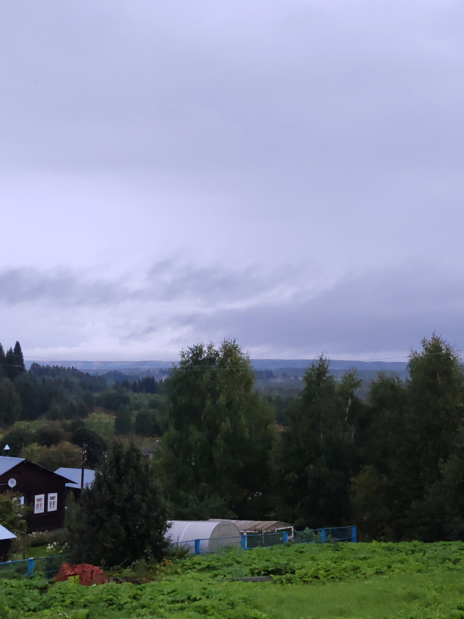 The image depicts a cloudy, overcast sky over a rural landscape in Чухлэм, Russia. In the foreground, a lush green field is visible, with some plants appearing to be crops. To the left, a dark brown wooden house with white-trimmed windows and a light blue roof is situated. Adjacent to the house, a white greenhouse with a blue fence in front of it is present. Several trees, varying in height and foliage density, are scattered throughout the scene. The background reveals a dense forest that extends to the horizon, where a misty, layered effect suggests distant hills or mountains. The overall impression is one of a quiet, somewhat damp, rural environment.