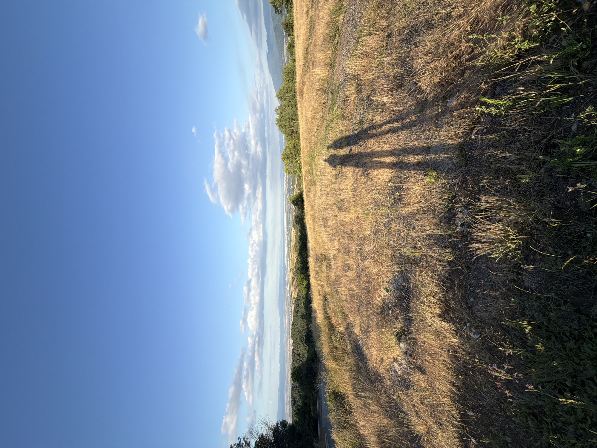 In Klisura, Bulgaria, a panoramic view captures a landscape under a vast, clear blue sky dotted with scattered white clouds. The foreground is dominated by a dry, grassy field bathed in the warm, low light of the setting sun, casting long shadows. Two distinct human shadows, appearing elongated and side-by-side, are projected onto the grass, suggesting the presence of two individuals standing just out of frame or positioned in the foreground. Beyond the grassy expanse, a line of dark green trees creates a natural border, behind which a distant valley unfolds. This valley is dotted with buildings and appears to stretch towards a hazy horizon where mountains are faintly visible. A paved road with a guardrail is visible on the left side of the frame, partially obscured by vegetation. The overall scene depicts a serene, natural environment at dusk.