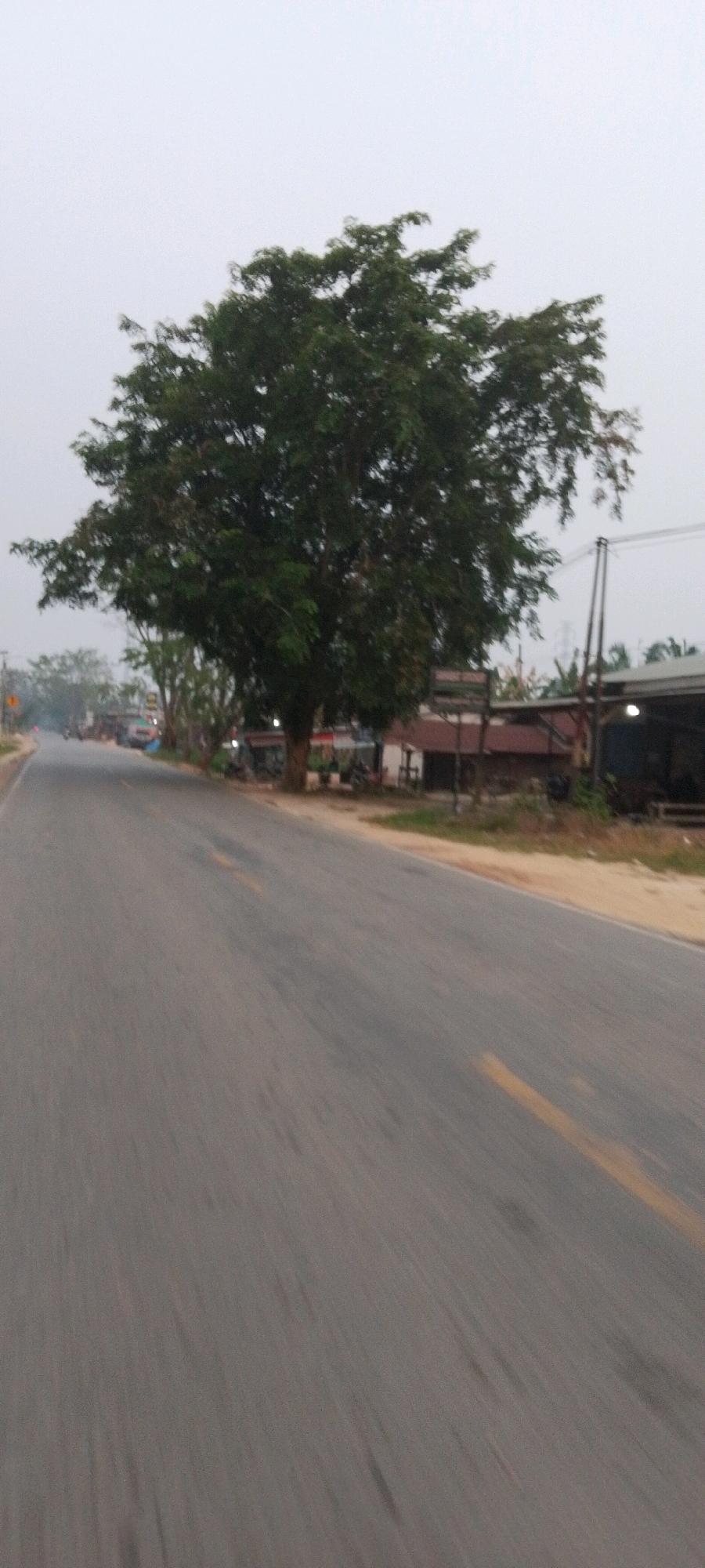 A road is visible from a moving vehicle, with a large tree on the right side of the road. The road has a yellow line down the middle. In the background, there are some buildings and other trees. The sky is overcast. This scene is located in Lenggadai Hulu, Indonesia.