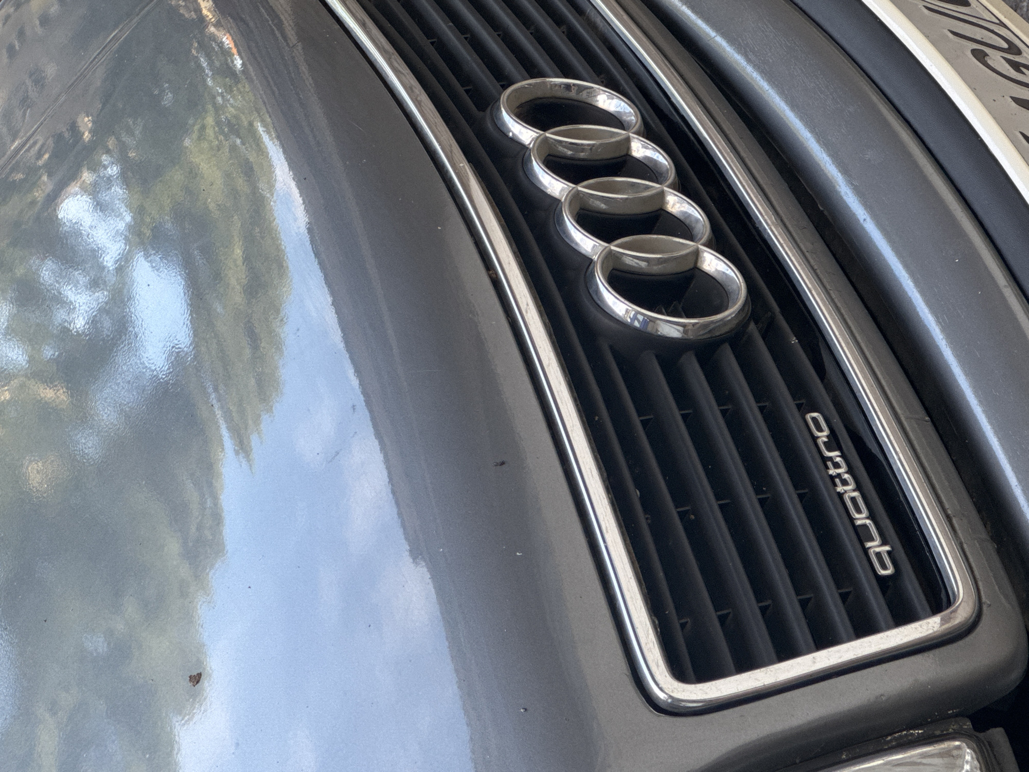 The image shows a close-up of the front grille of a gray Audi car. The iconic four-ring Audi logo is prominently displayed in the center of the grille. Below the logo, the word "quattro" is visible in silver lettering. The car's hood is visible above the grille, reflecting the surrounding environment, which appears to be a street scene with trees and sky. The image is a high-angle shot, focusing on the car's front end. There is no indication of the city of Oral, Kazakhstan in the image itself.