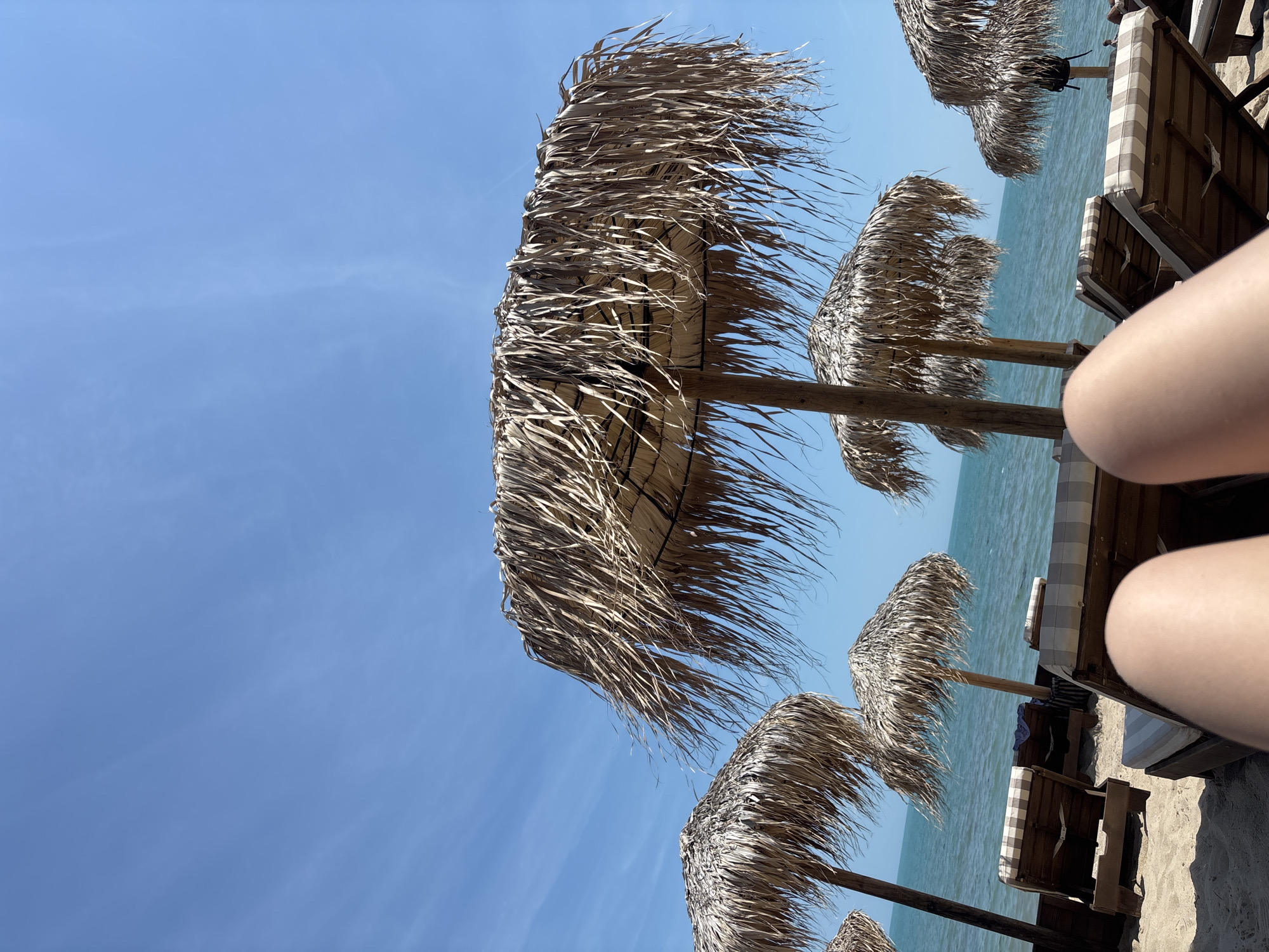 This image presents a serene beach scene in Kranevo, Bulgaria, captured from a low, first-person perspective. In the immediate foreground, the lower portions of a person's legs are visible, indicating the viewer is relaxing on a beach lounge chair. The sandy beach, light brown in color, occupies the lower third of the frame. Scattered across the beach are multiple lounge chairs featuring wooden frames and light-colored, striped cushions. Several thatched beach umbrellas, constructed from dry, straw-like fronds, are prominently displayed throughout the midground, with one large umbrella dominating the upper center. The fronds of these umbrellas appear somewhat wind-blown and weathered. Beyond the beach and umbrellas, the calm, blue-green waters of the Black Sea stretch towards the horizon, merging with a clear, vibrant blue sky that exhibits only faint, wispy cloud formations. The scene is illuminated by bright sunlight, suggesting a clear day.