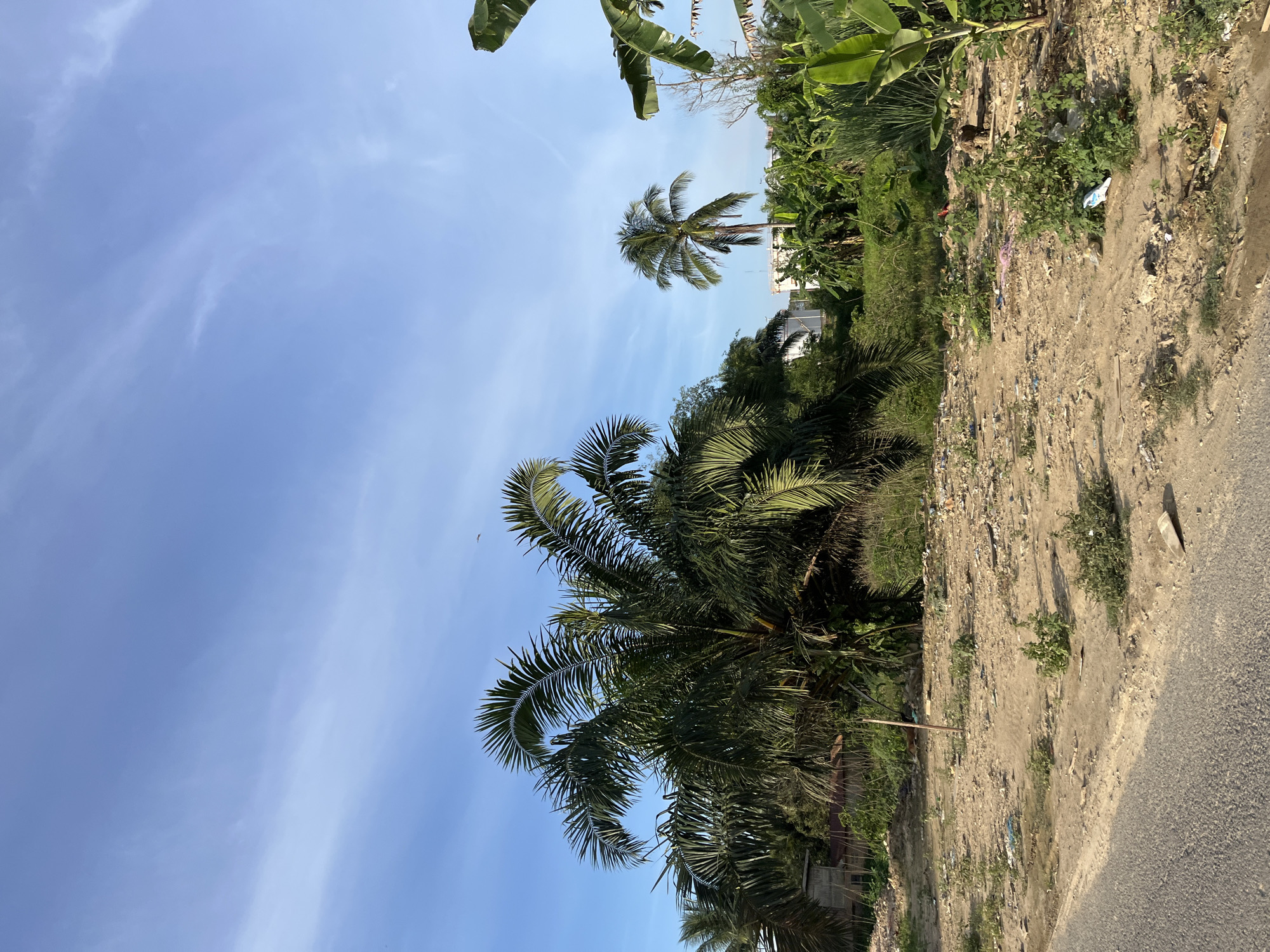The image depicts an outdoor scene in Alurcucur, Indonesia, characterized by a dusty, uneven ground with scattered debris and vegetation. A paved road is visible in the foreground on the left. Lush green palm trees and other tropical foliage dominate the background, with a clear blue sky overhead. In the middle ground, a few small structures or buildings are partially obscured by trees. The overall impression is that of a semi-developed or rural area with elements of both nature and human presence. There are no people visible in the image.