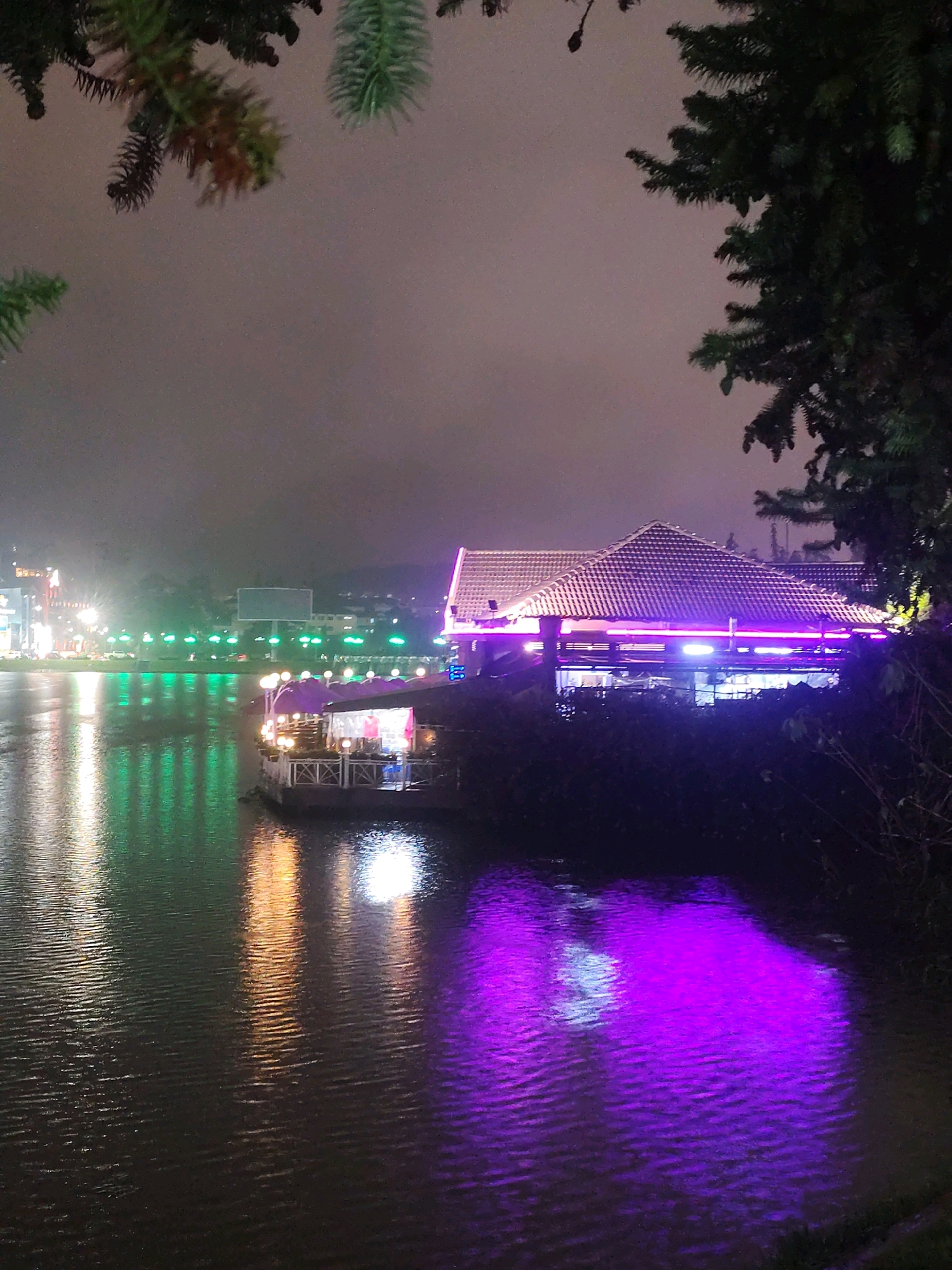 A nighttime scene depicts Xuan Huong Lake in Da Lat, Vietnam, viewed from a vantage point with the branches of a conifer tree in the foreground. On the water, a boat is illuminated with warm yellow lights. Across the lake, a building with a tiled roof is aglow with purple neon lights. The water reflects the lights from the buildings and the boat, creating streaks of color on its surface. The sky is overcast and dark, and the overall atmosphere is moody and illuminated by artificial lights.